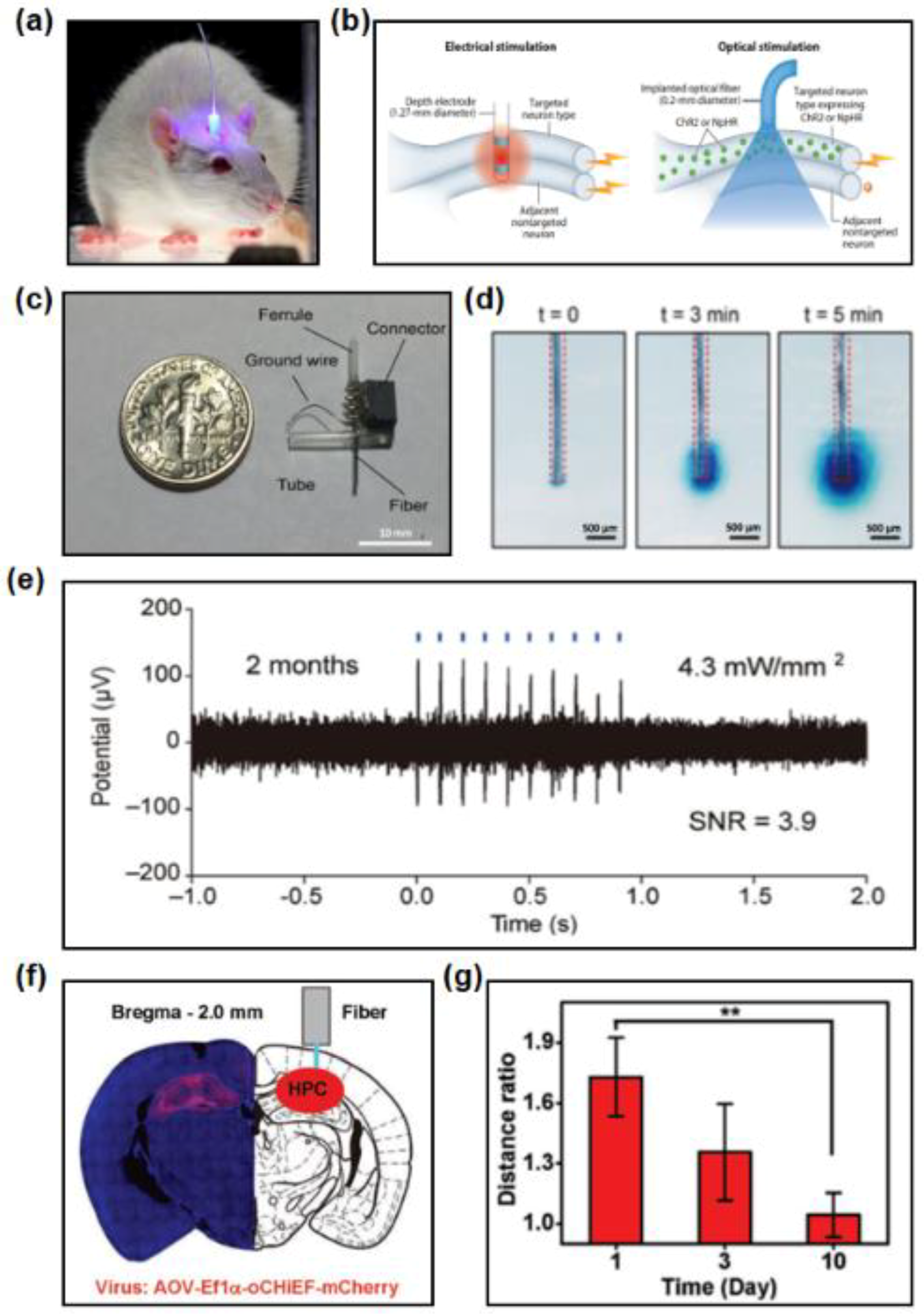 Materials 11 01283 g008