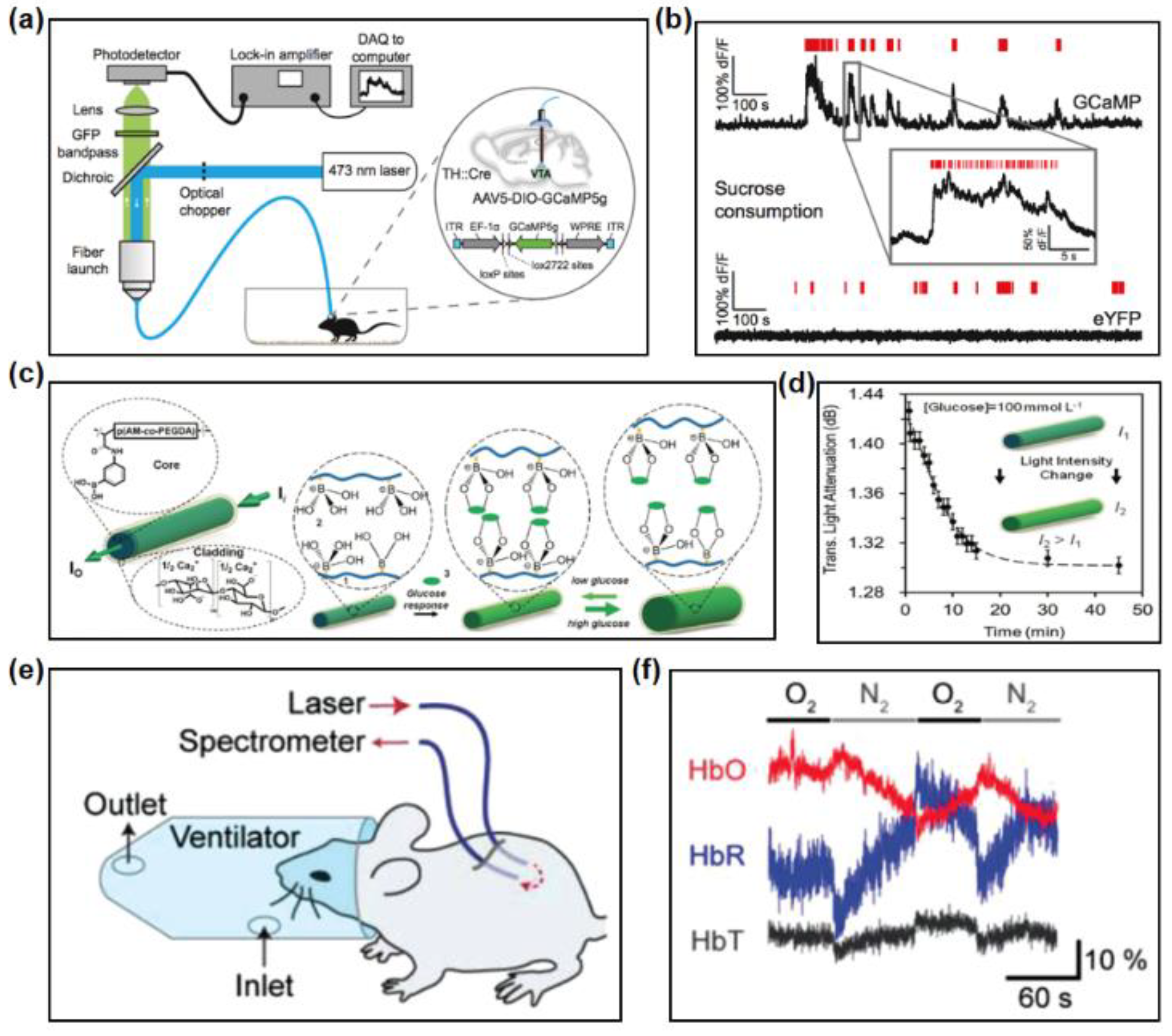 Materials 11 01283 g010