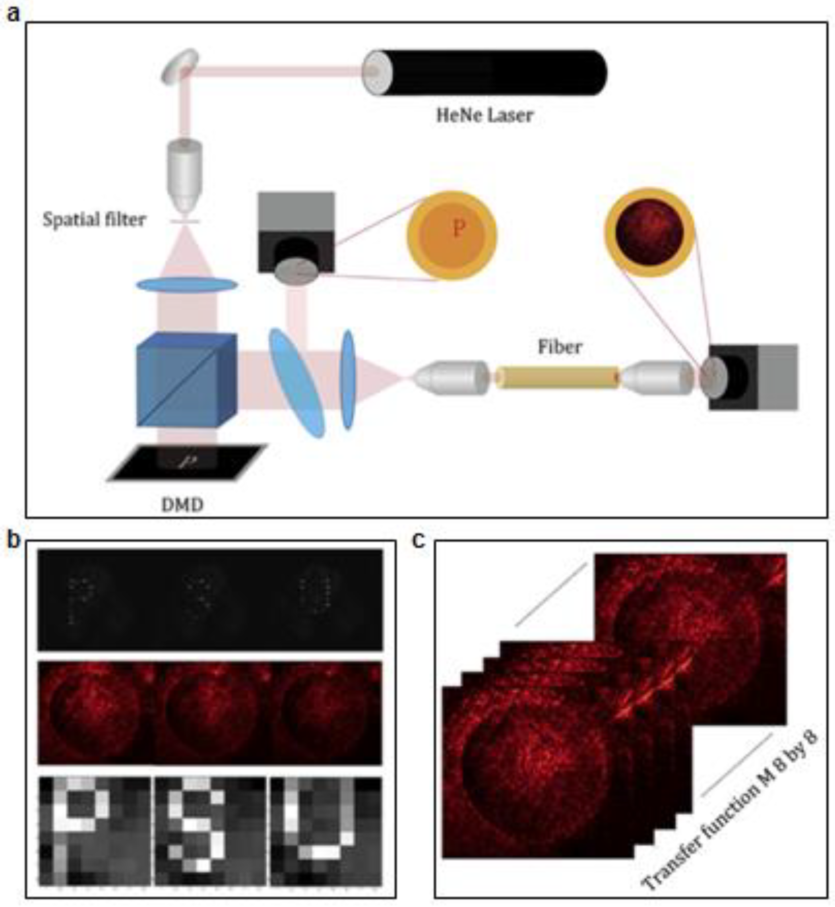 Materials 11 01283 g011
