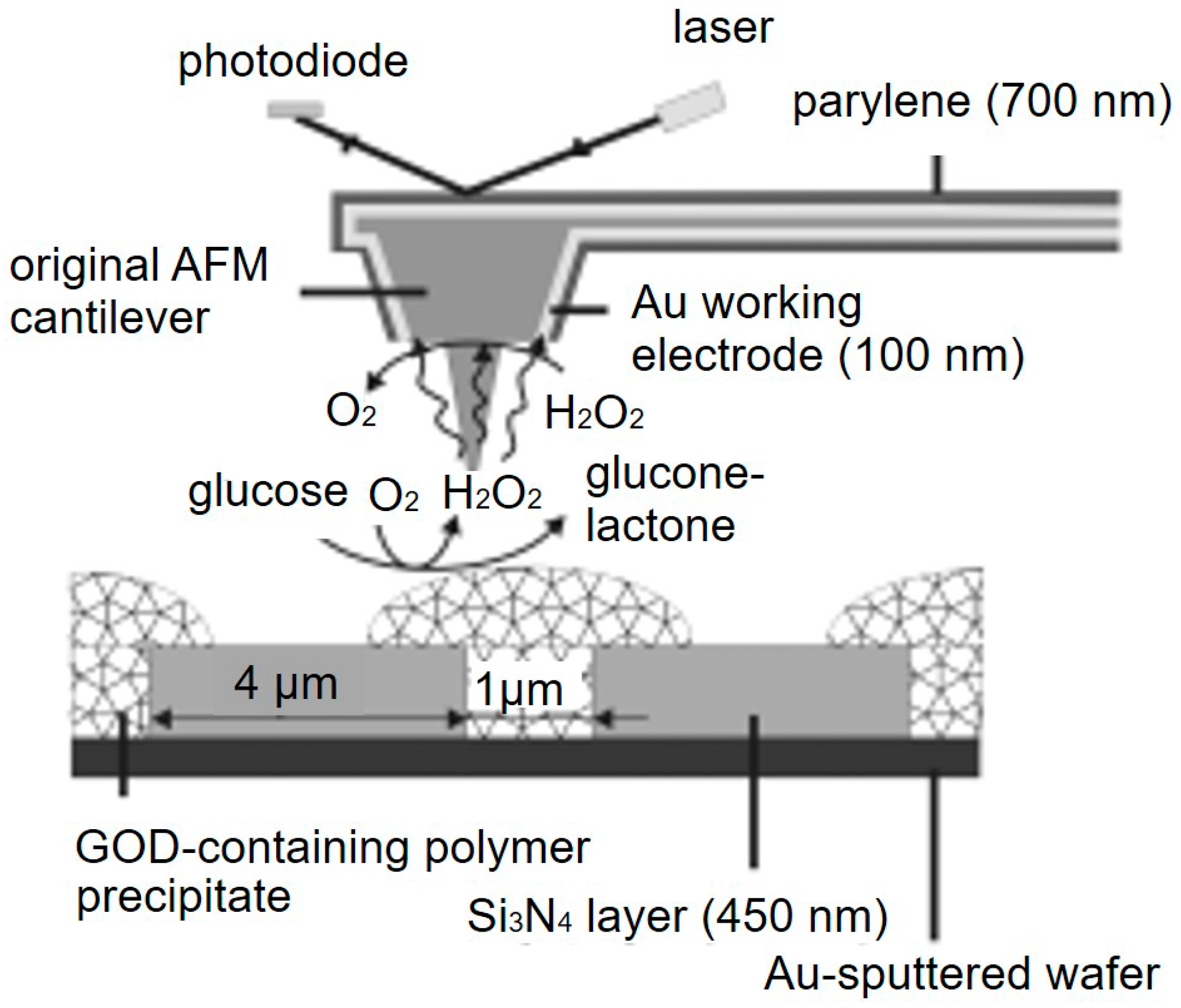 Materials 11 01389 g005