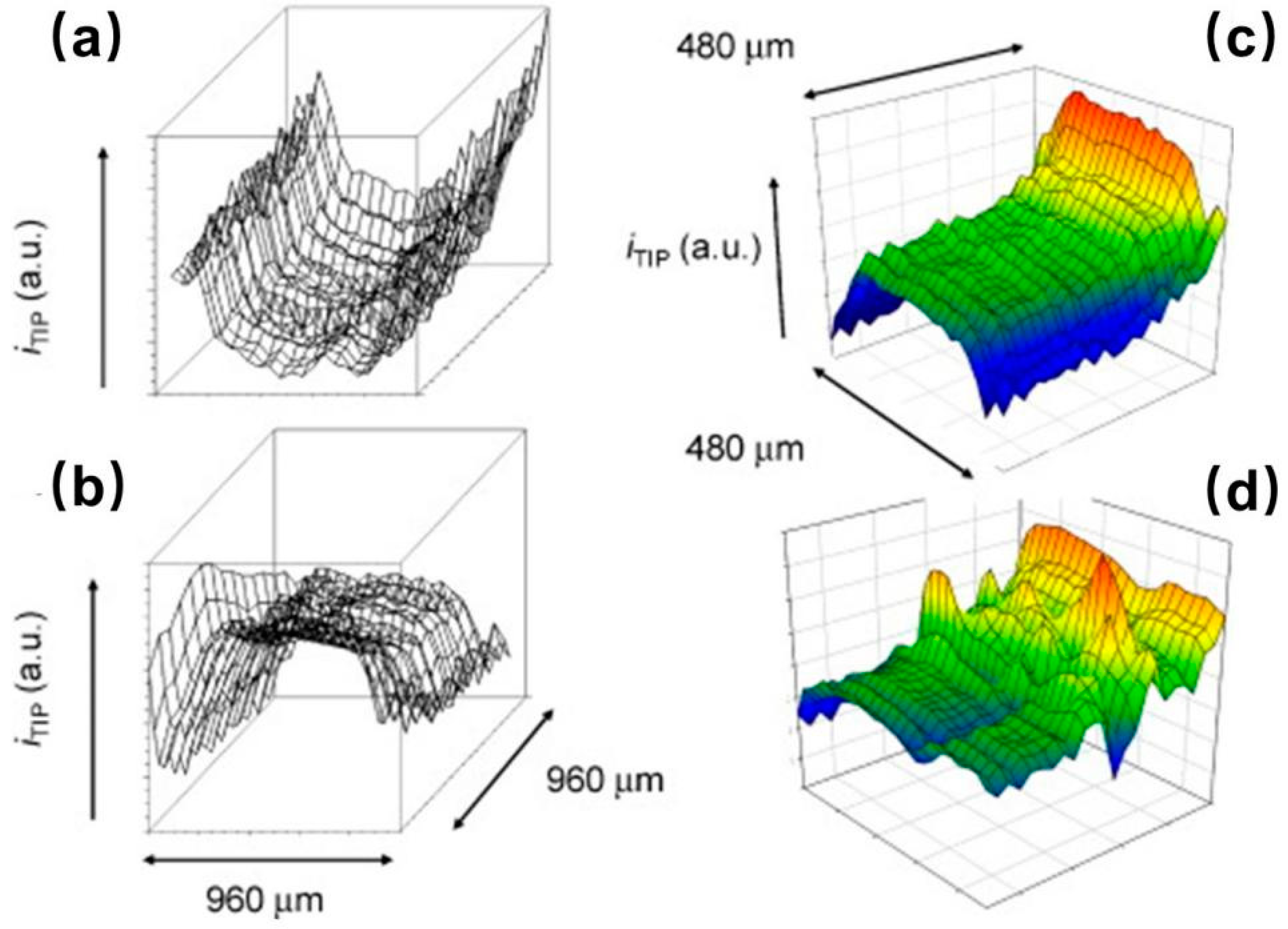 Materials 11 01389 g008