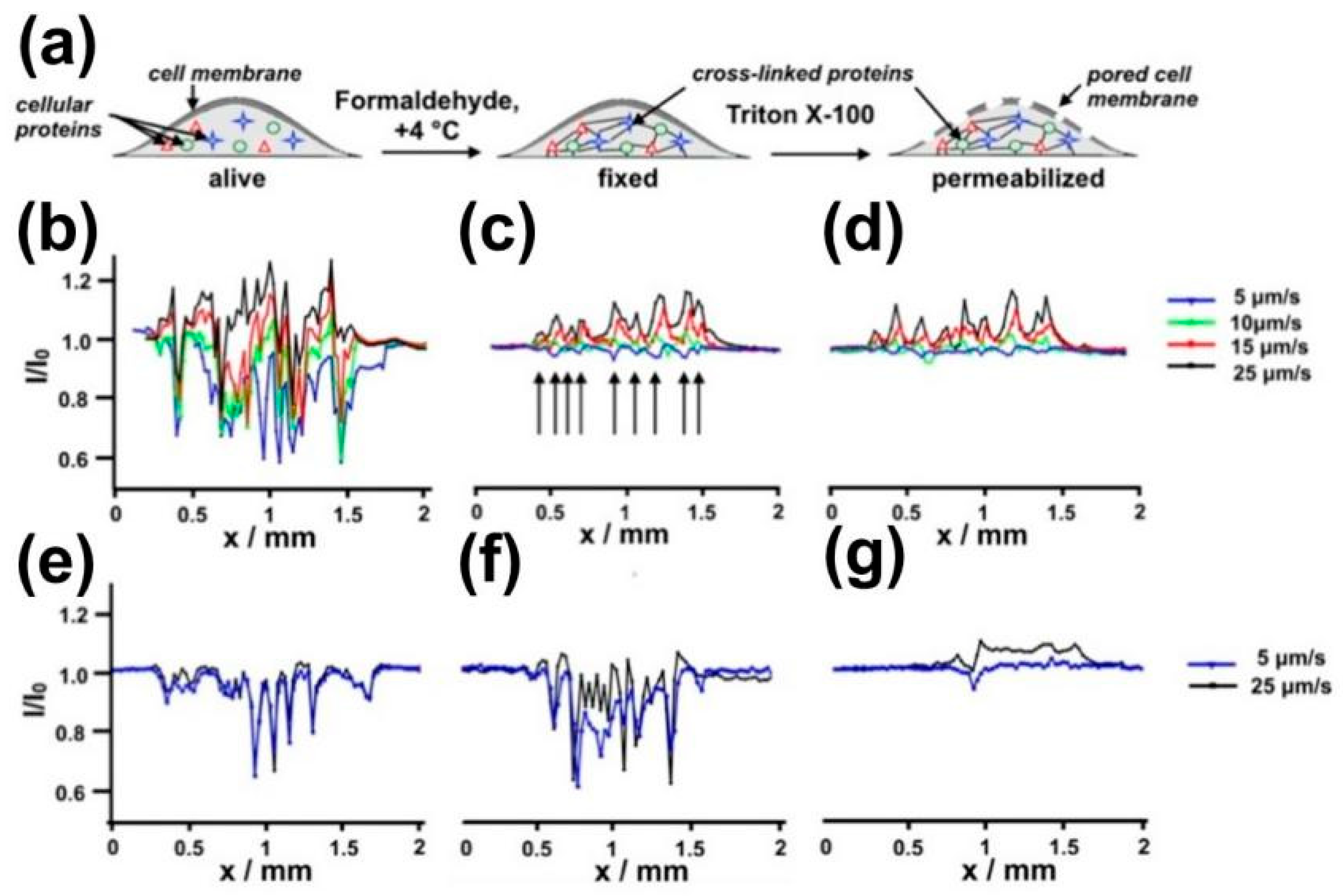 Materials 11 01389 g012
