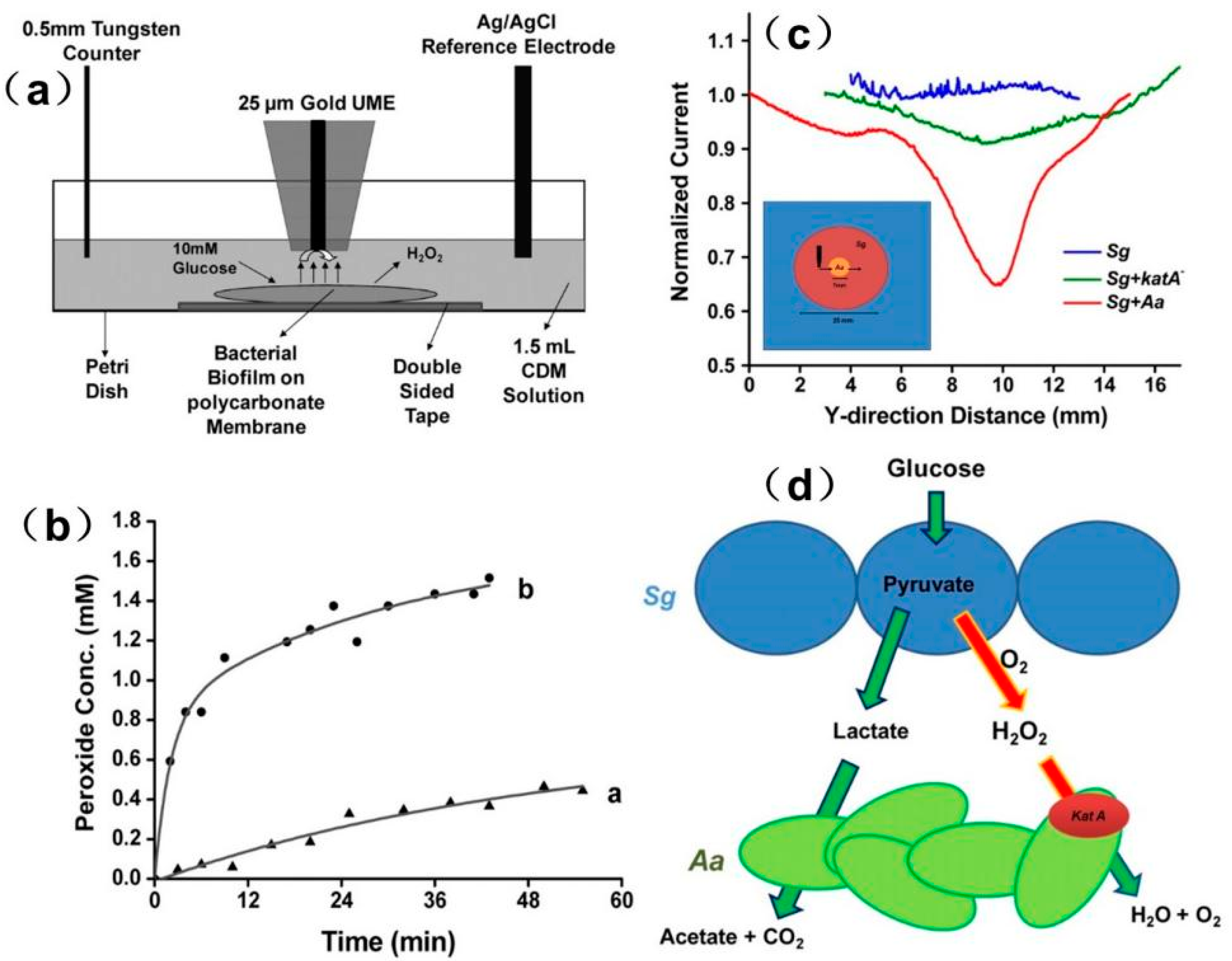 Materials 11 01389 g017
