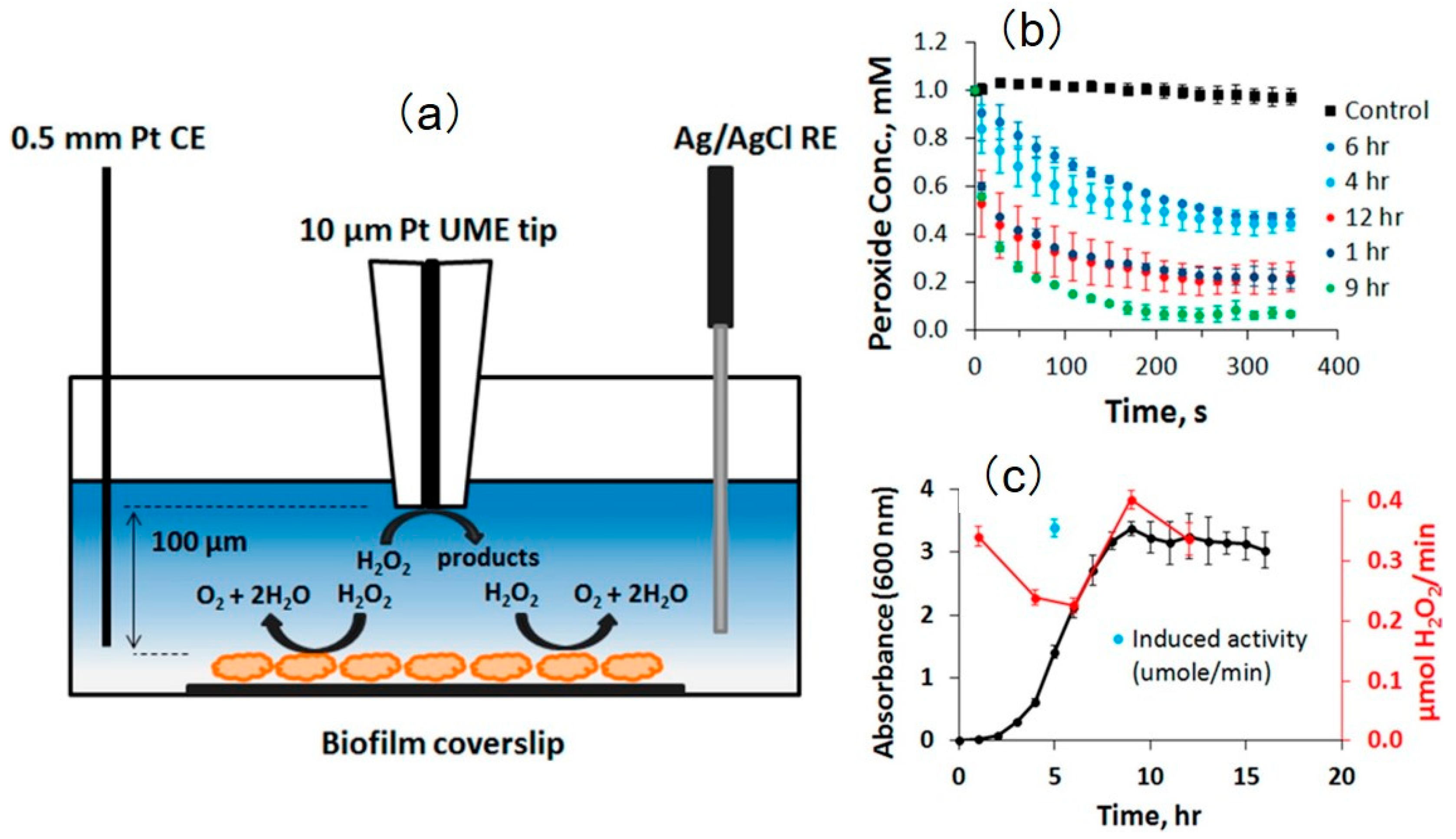 Materials 11 01389 g018
