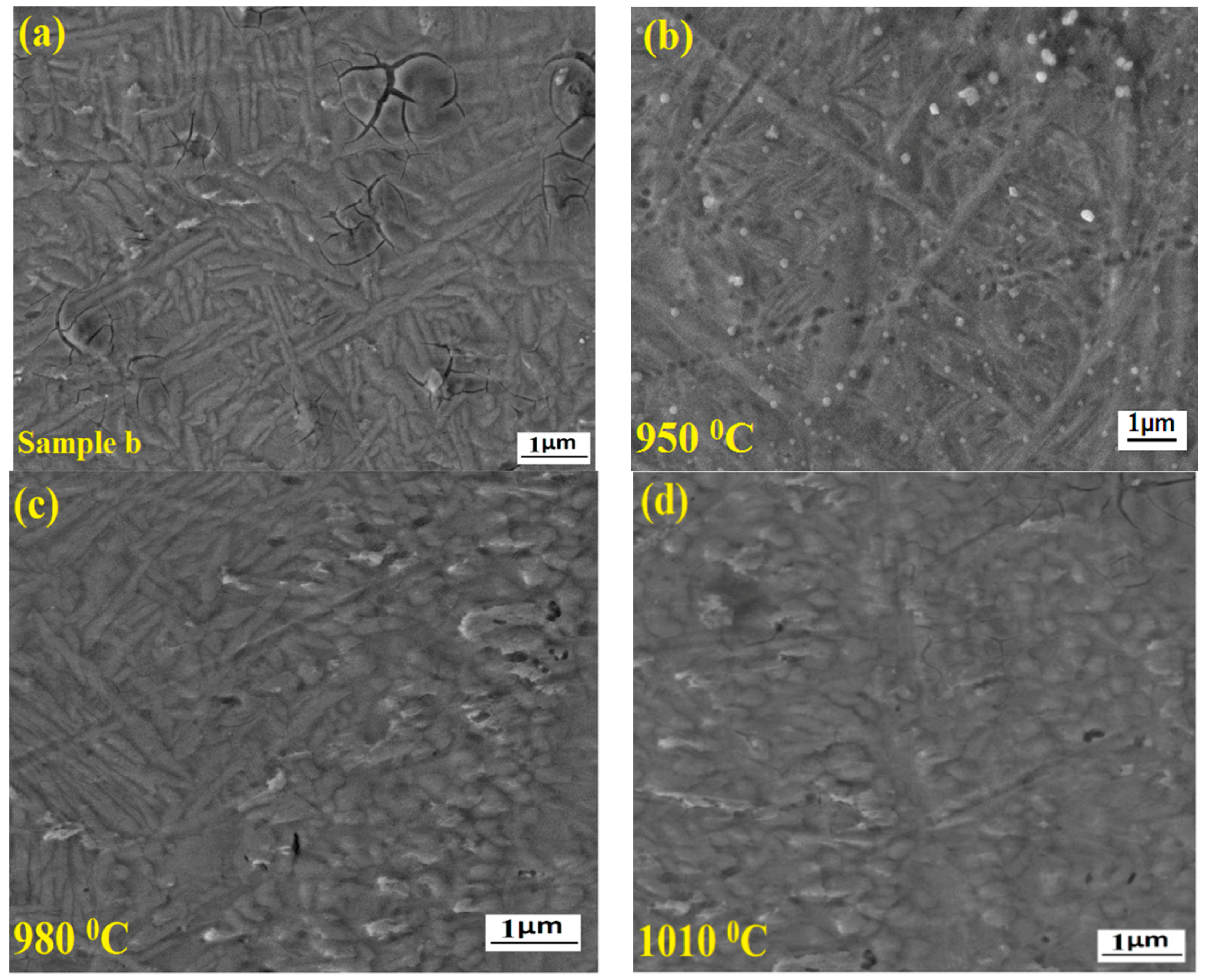 Materials 11 01514 g011