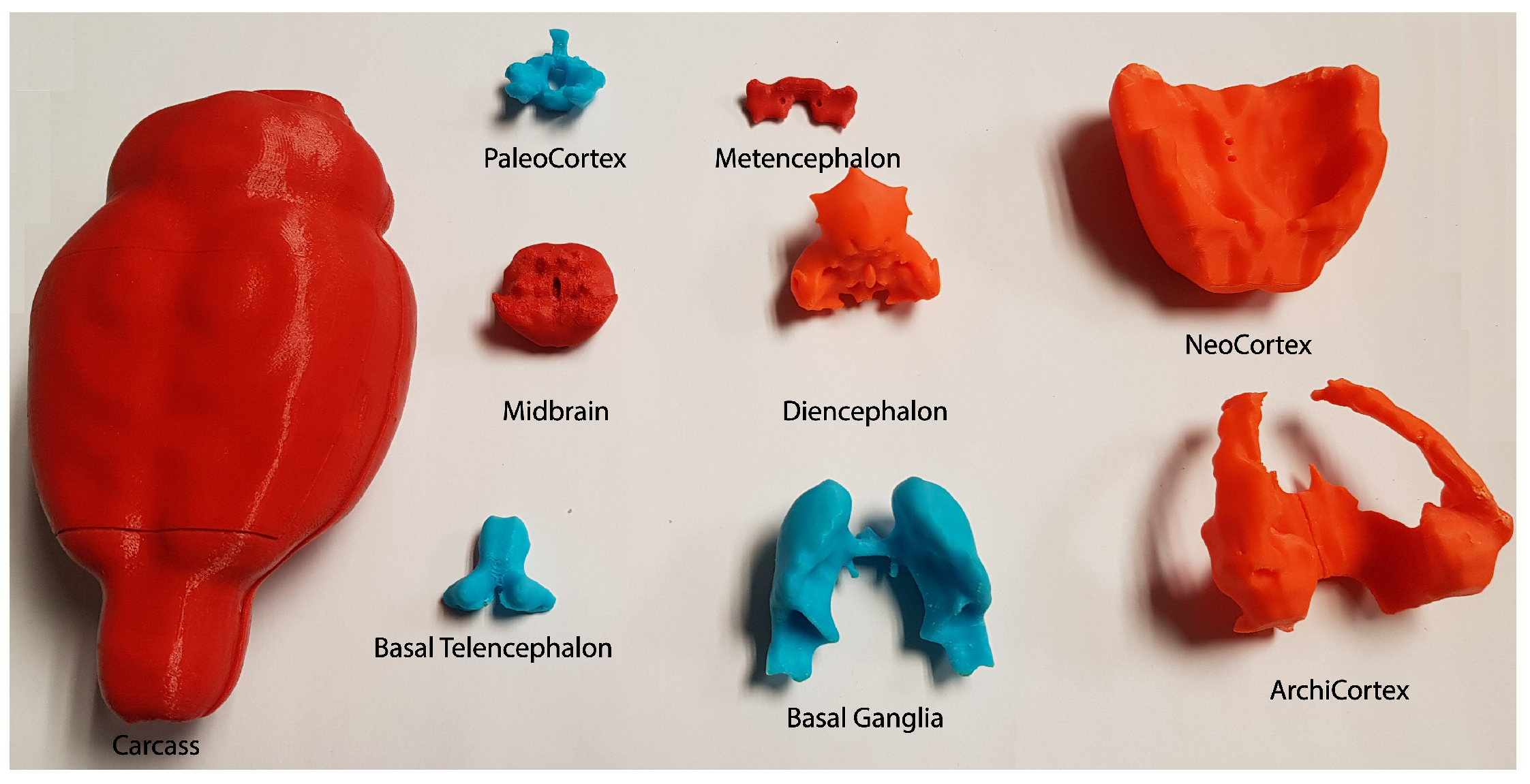 Materials | Free Full-Text | A Tangible Educative 3D Printed Atlas of