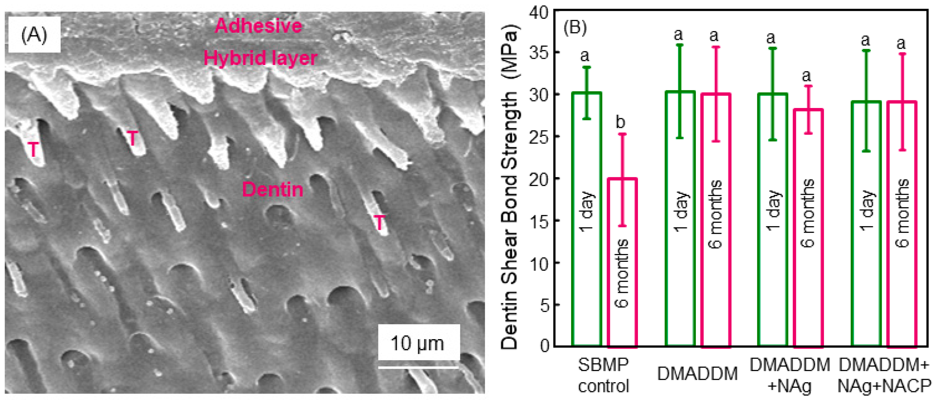 Materials Free FullText Developing a New Generation of Therapeutic