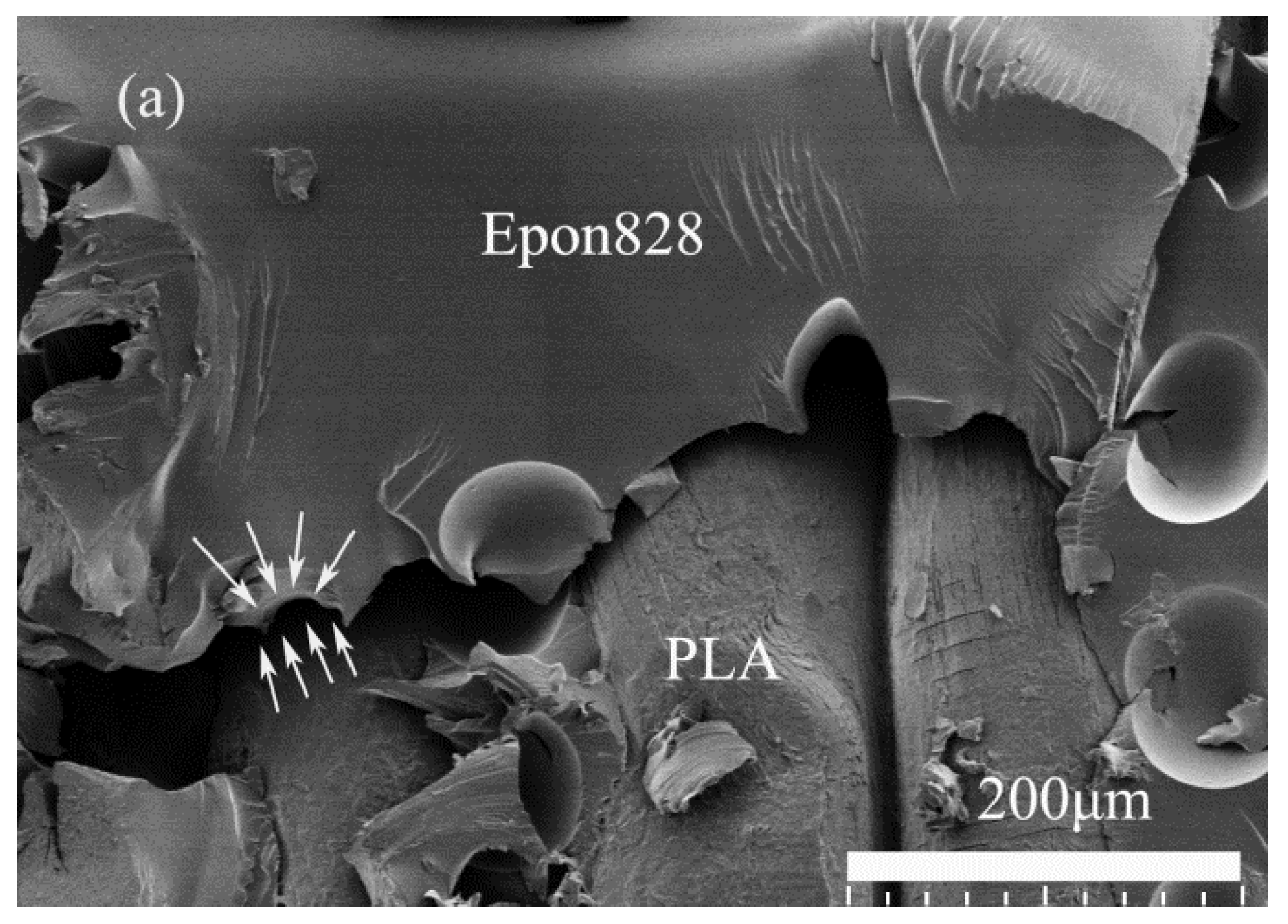 Materials 11 01767 g009a