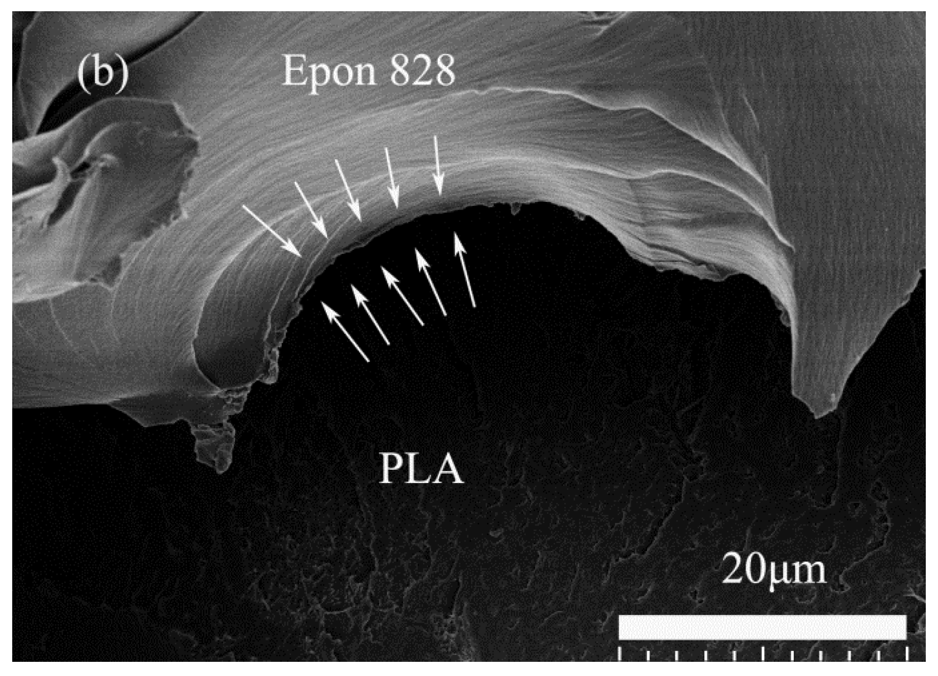 Materials 11 01767 g009b