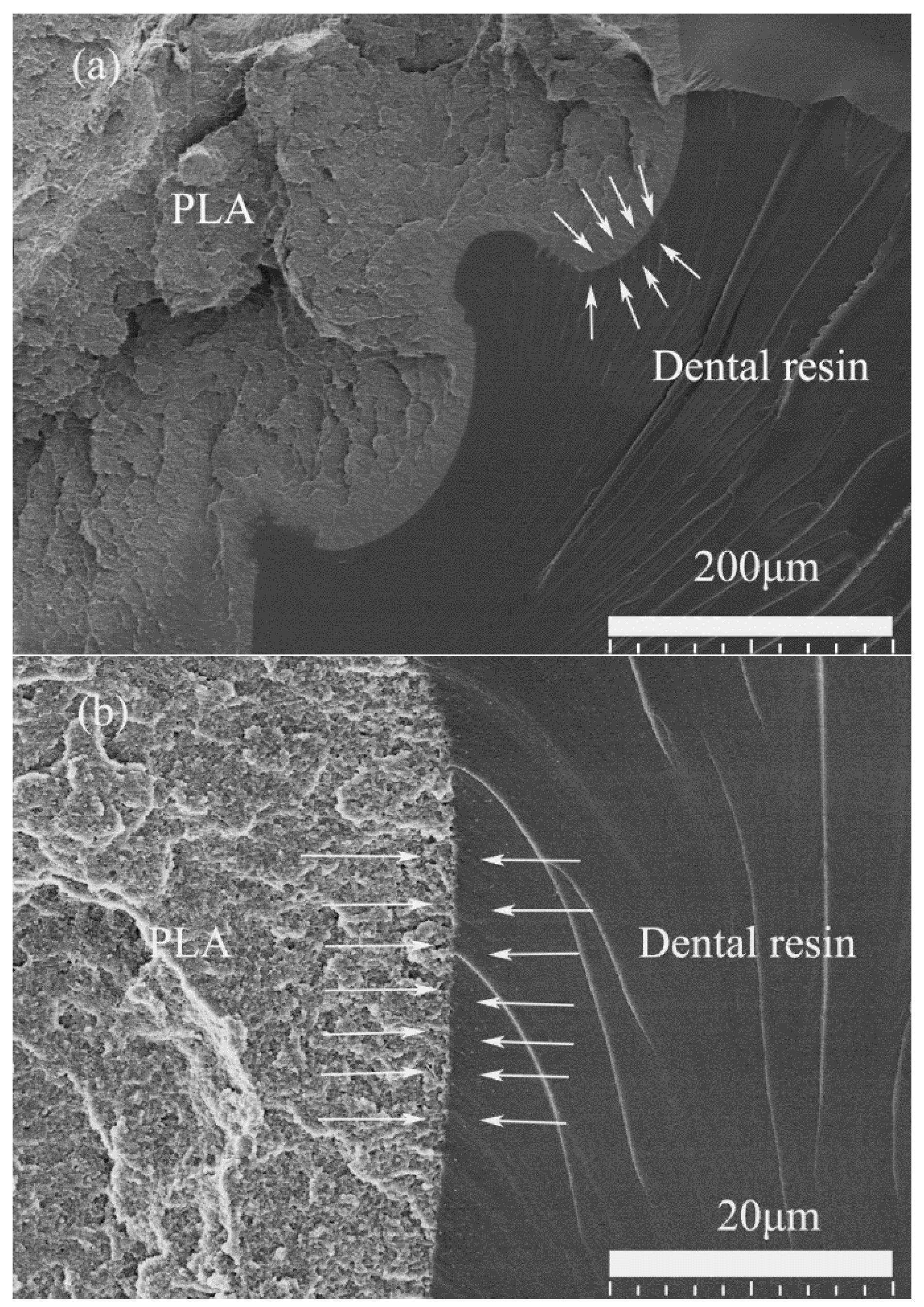 Materials 11 01767 g010