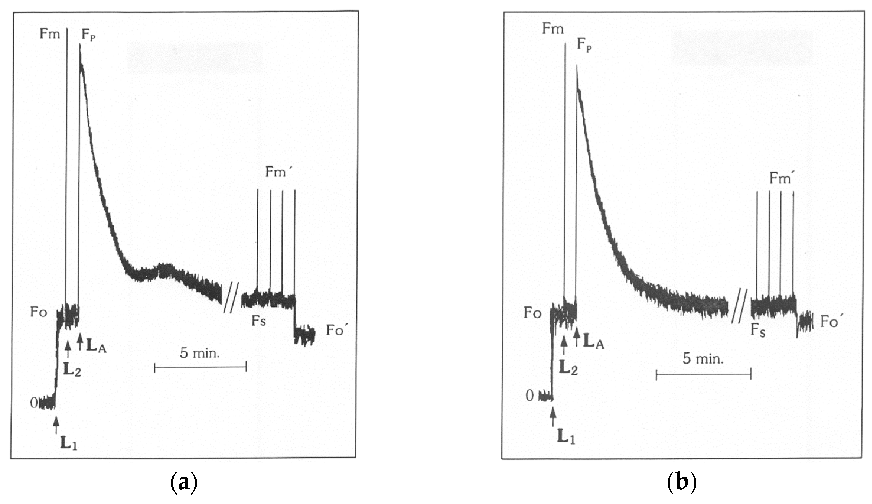 Materials 11 01772 g001