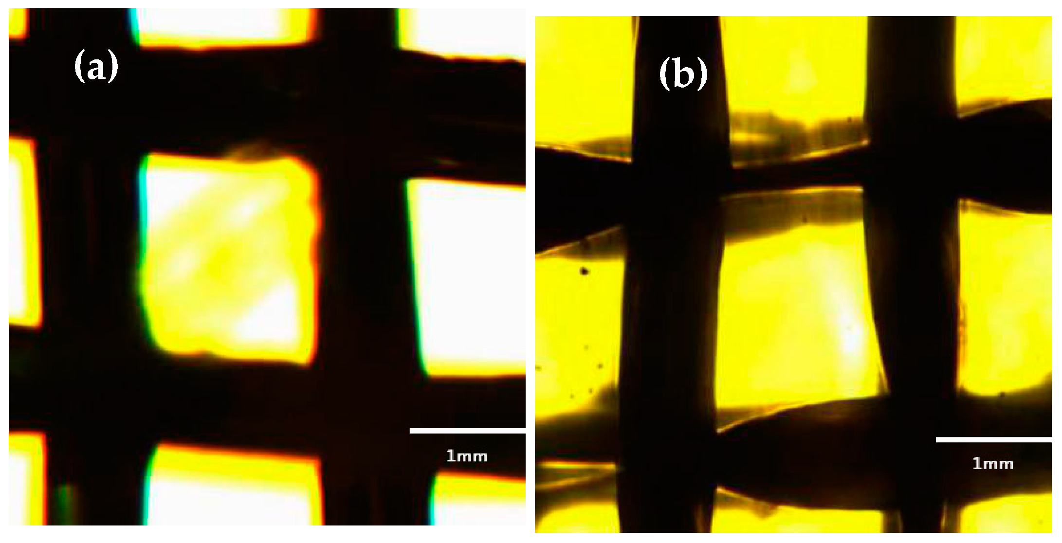 Materials 11 01914 g001