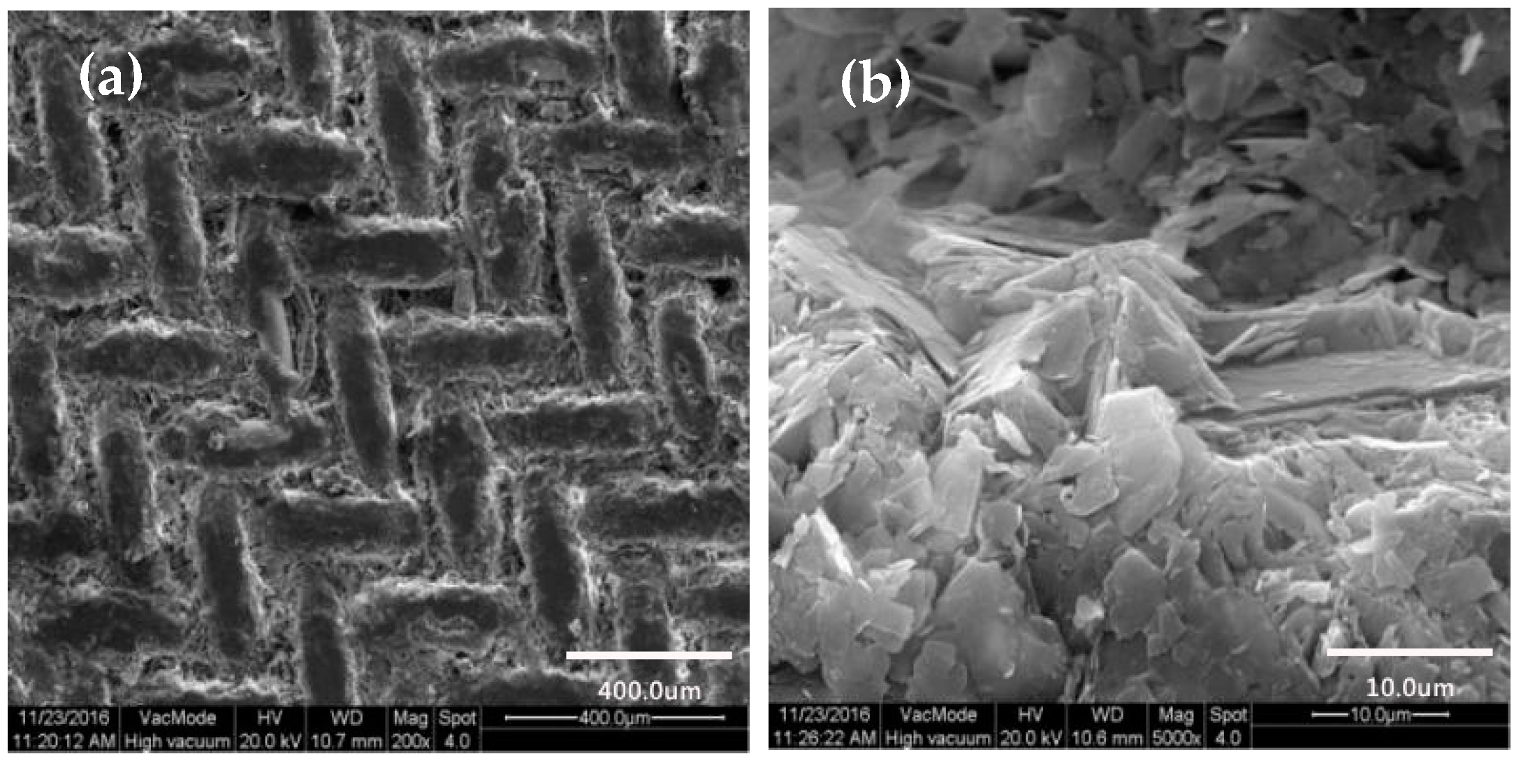 Materials 11 01914 g006