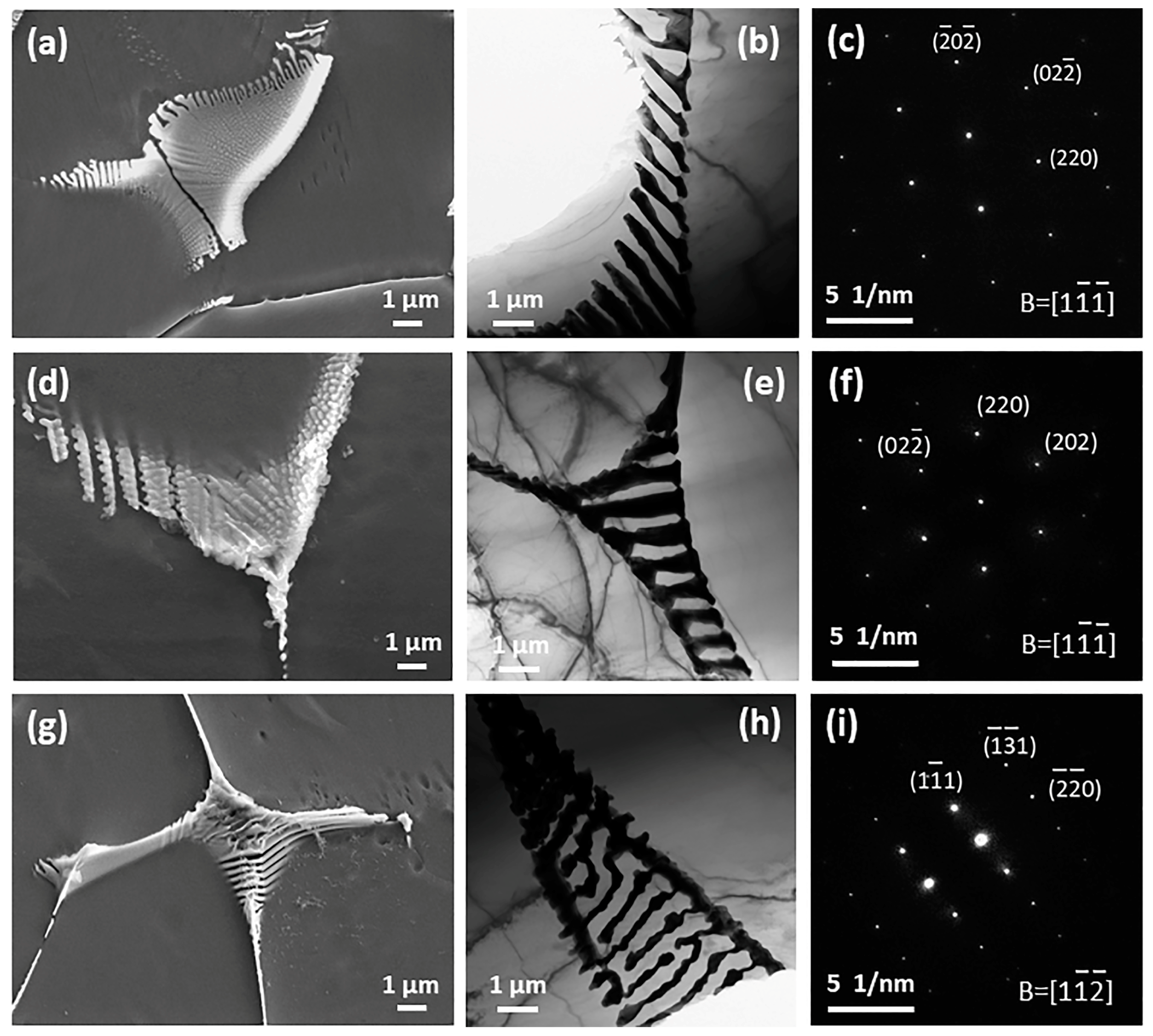 Materials 11 01942 g004