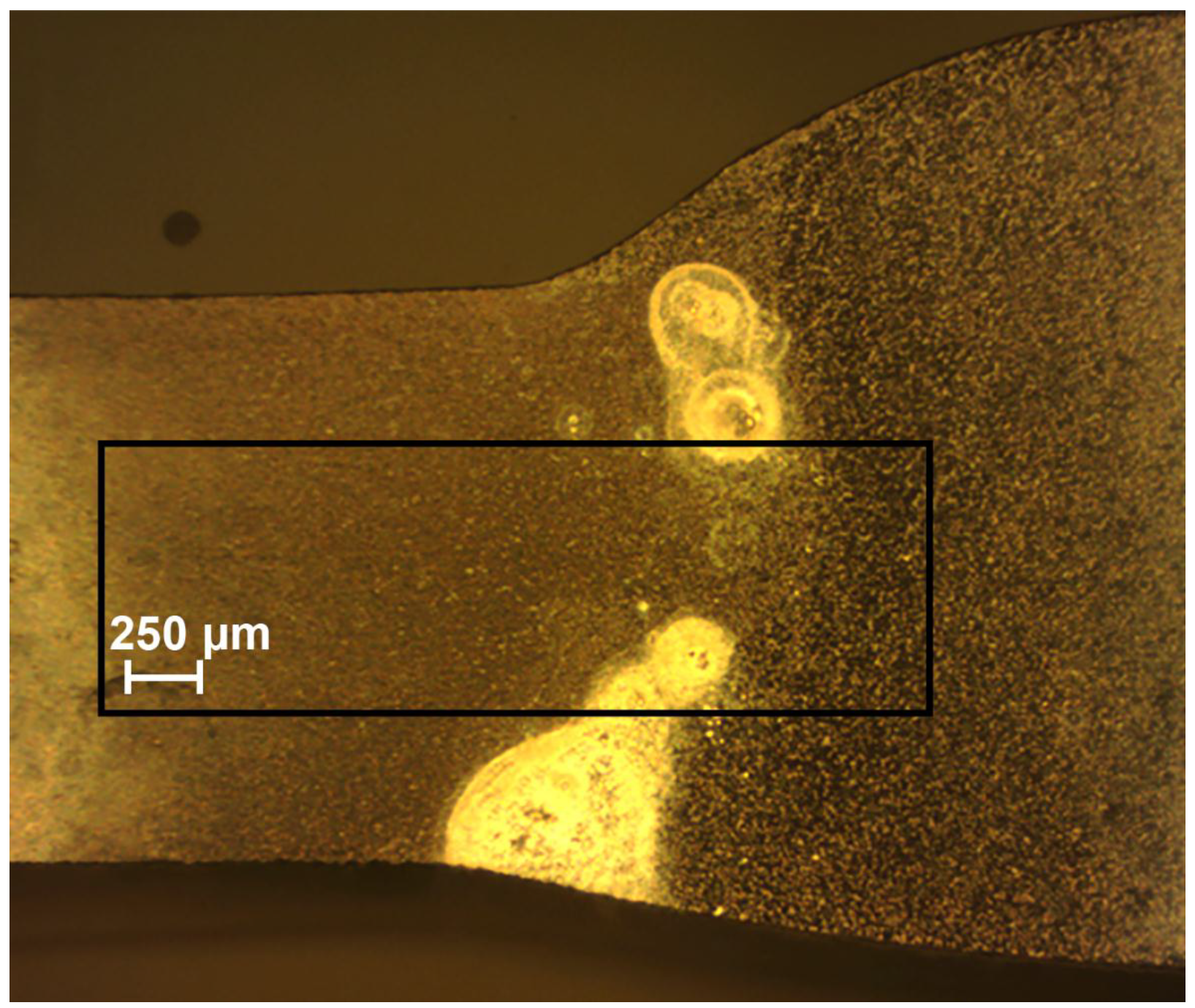 Materials 11 02053 g006