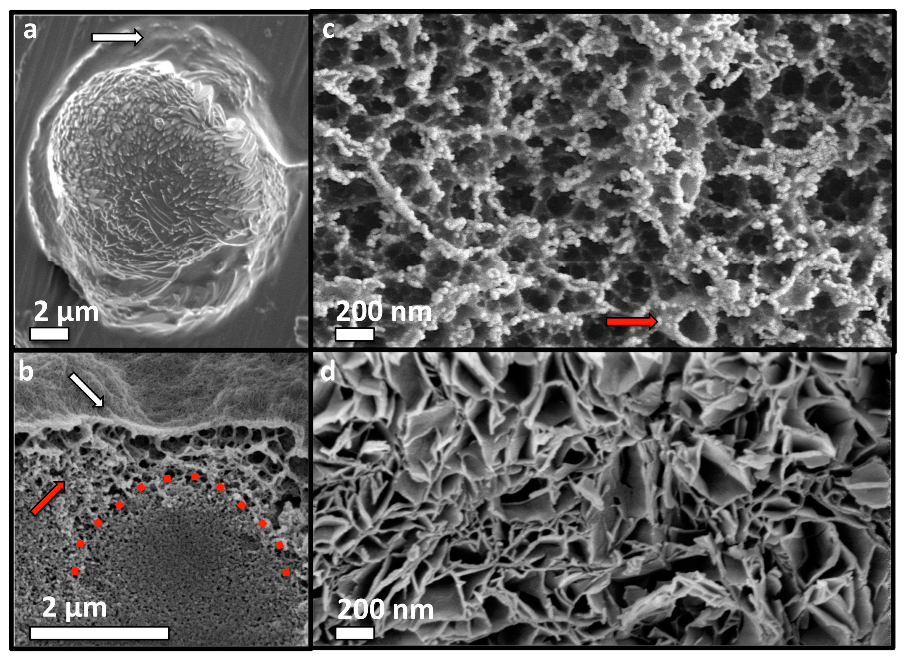 Materials 11 02492 g007