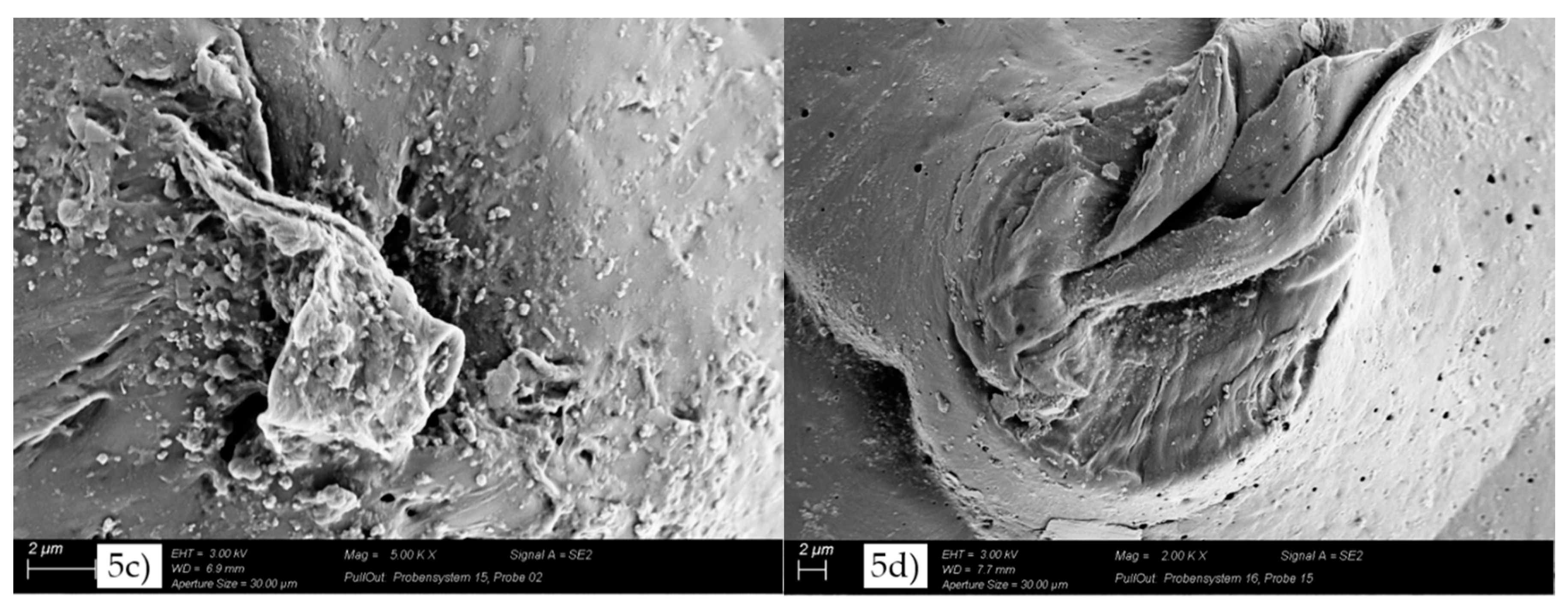 Materials 11 02552 g005b