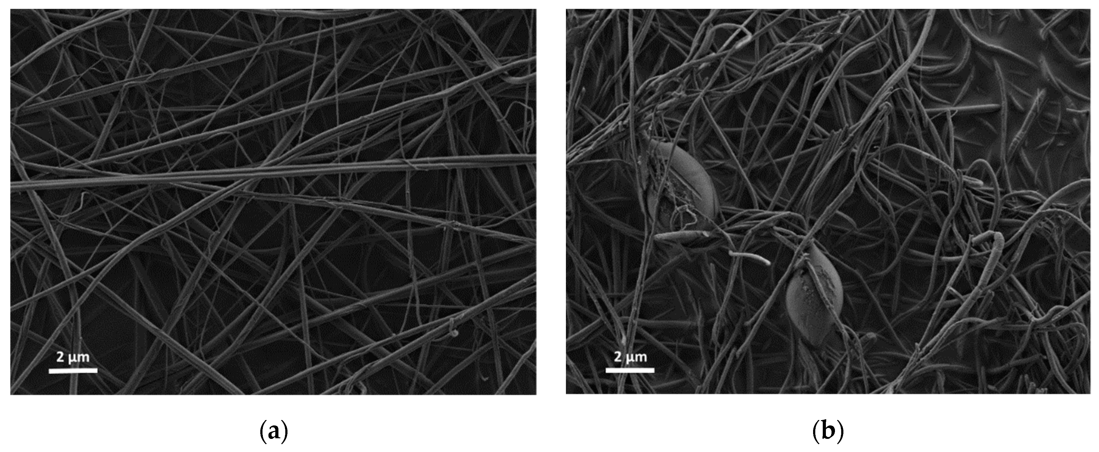 Materials 12 00252 g001