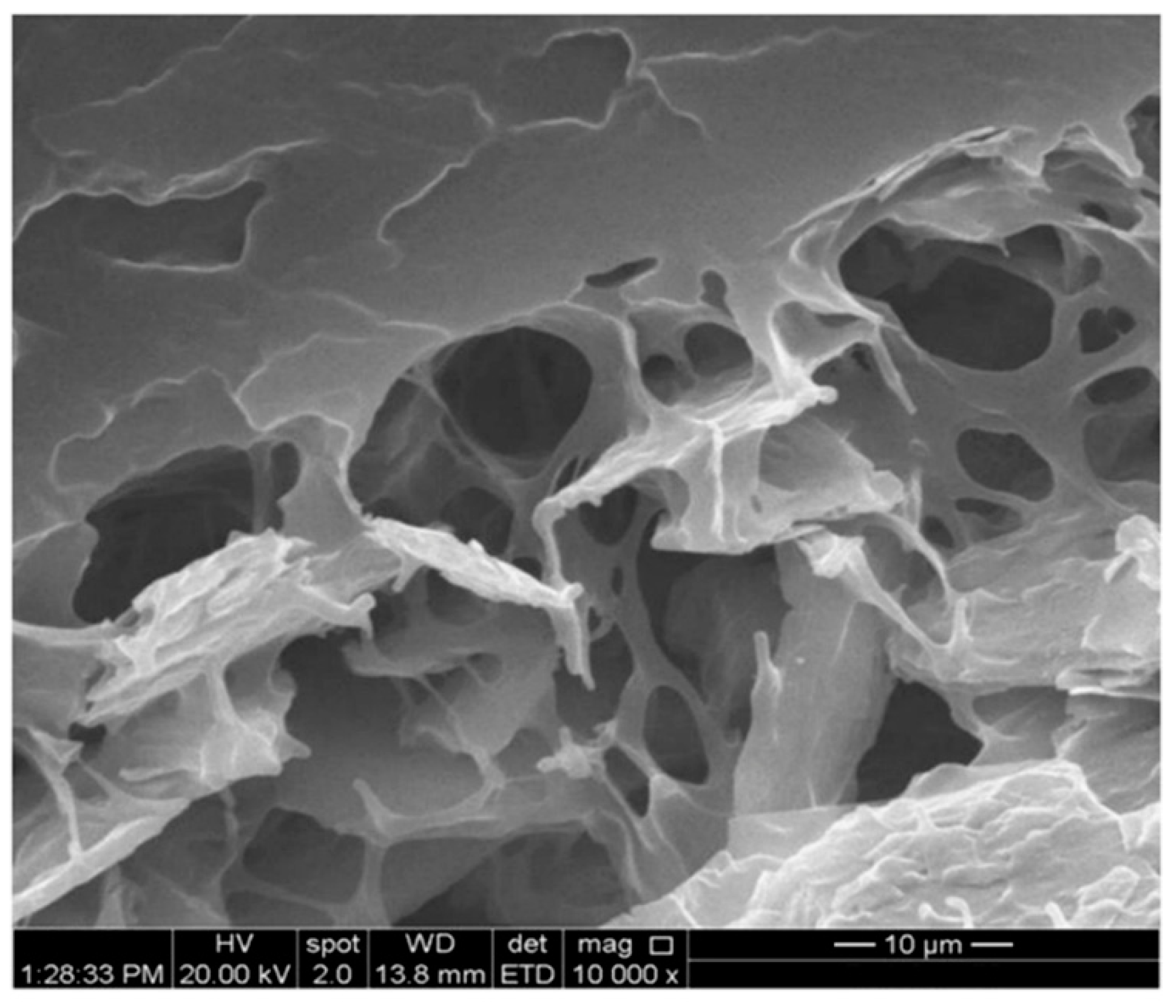 Materials 12 00528 g009