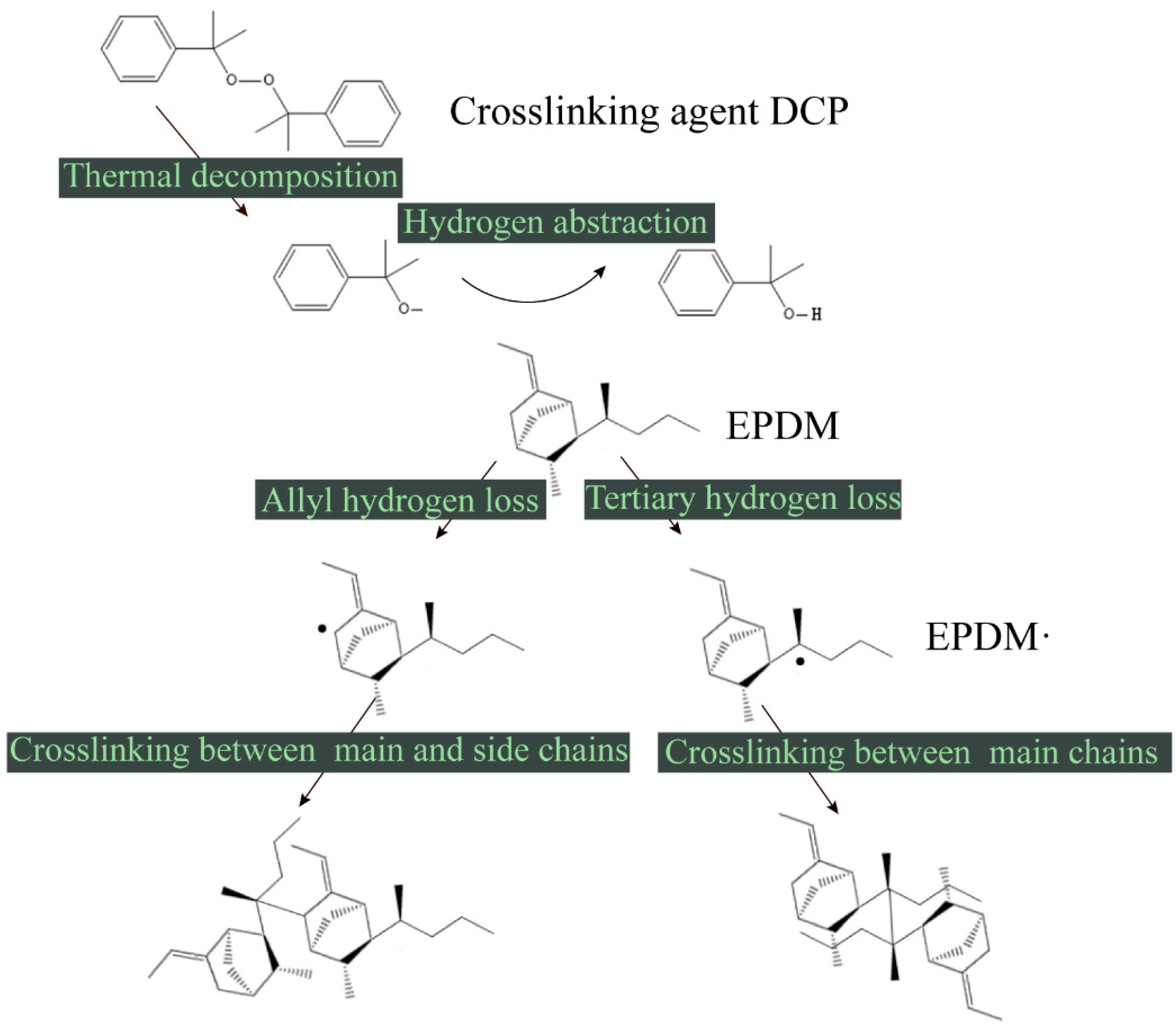 Materials 12 00612 g002
