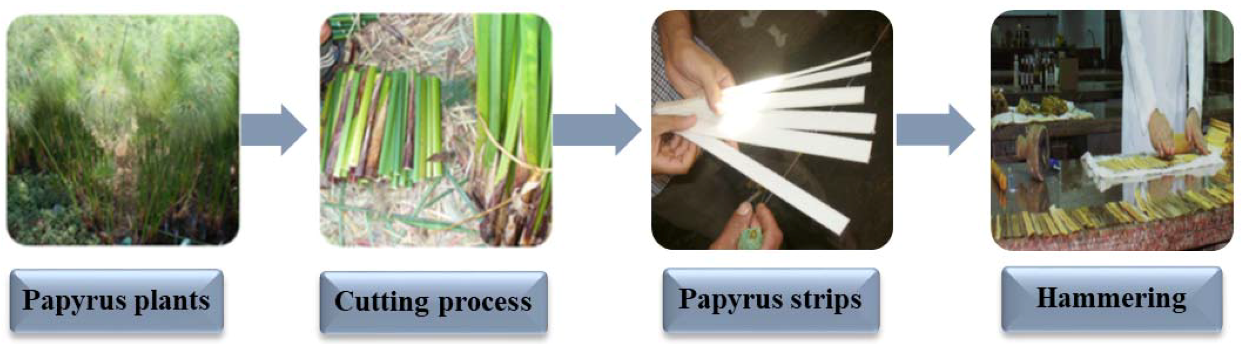 Materials 12 00620 g001