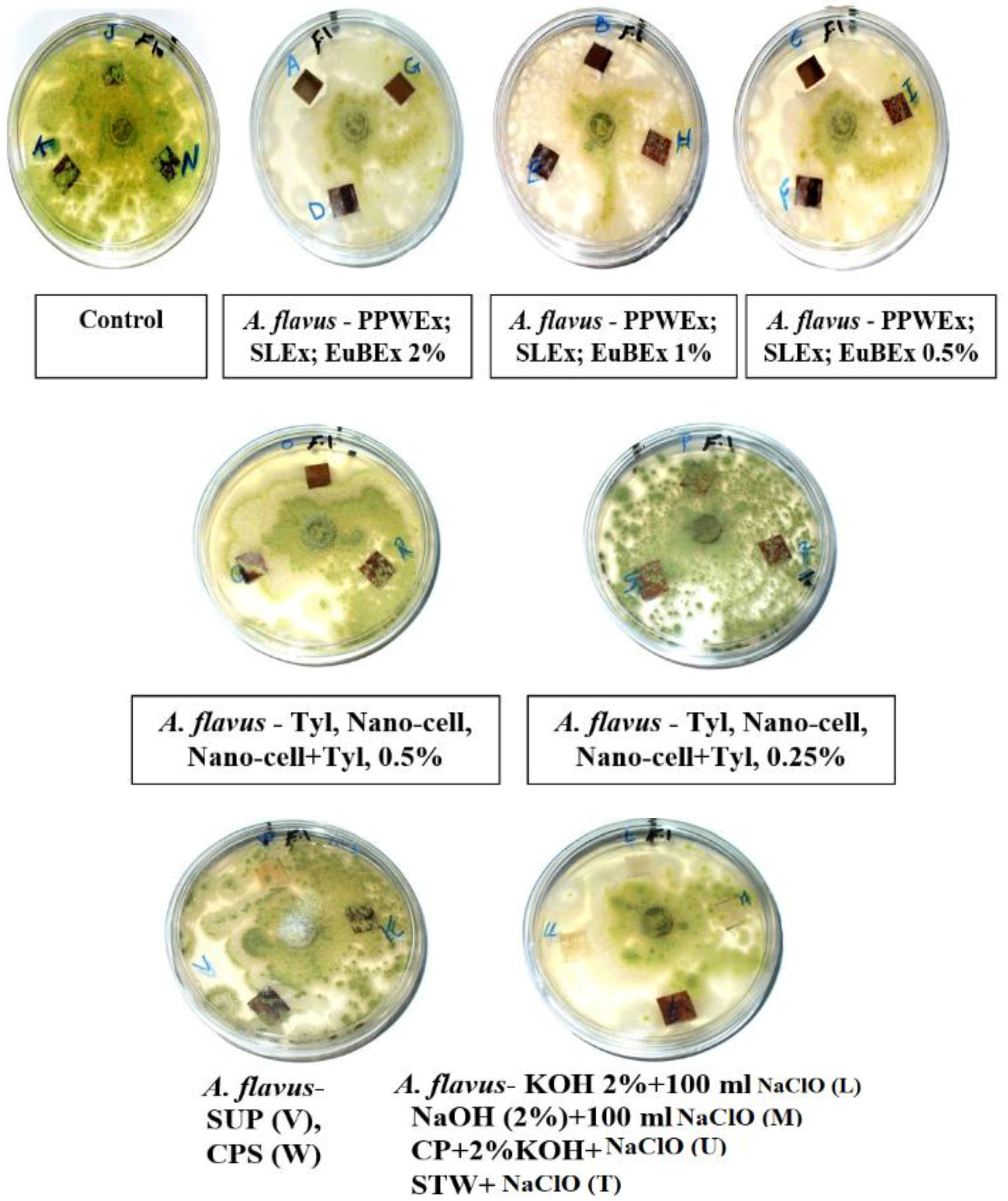 Materials 12 00620 g005