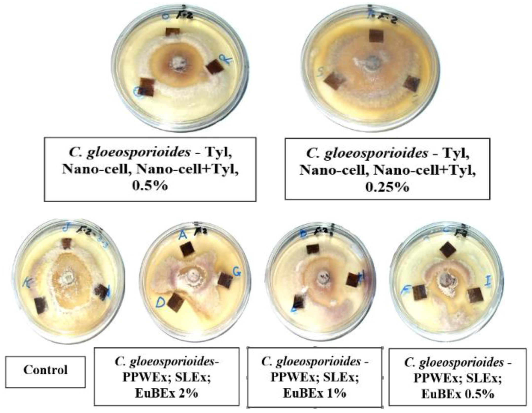 Materials 12 00620 g007a