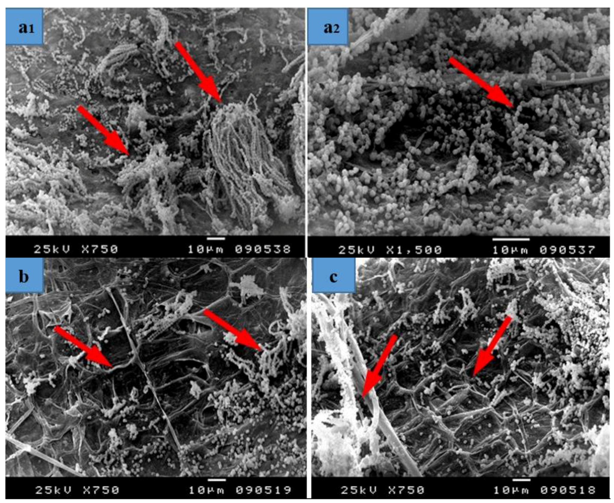 Materials 12 00620 g008a
