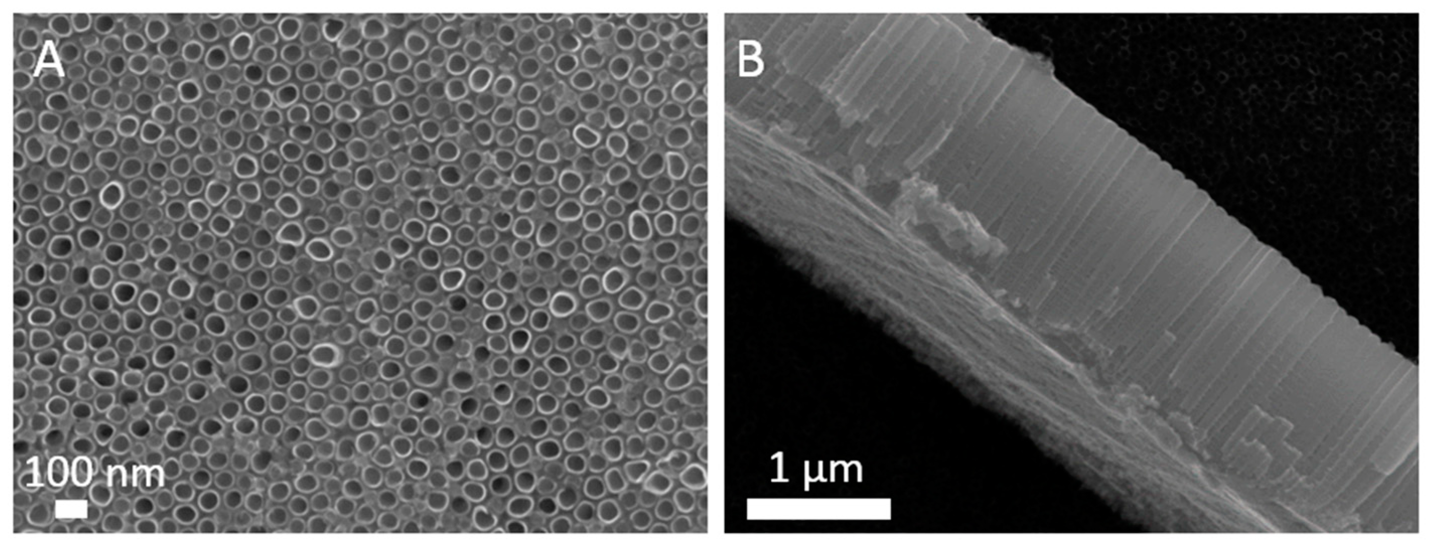Materials 12 00626 g004