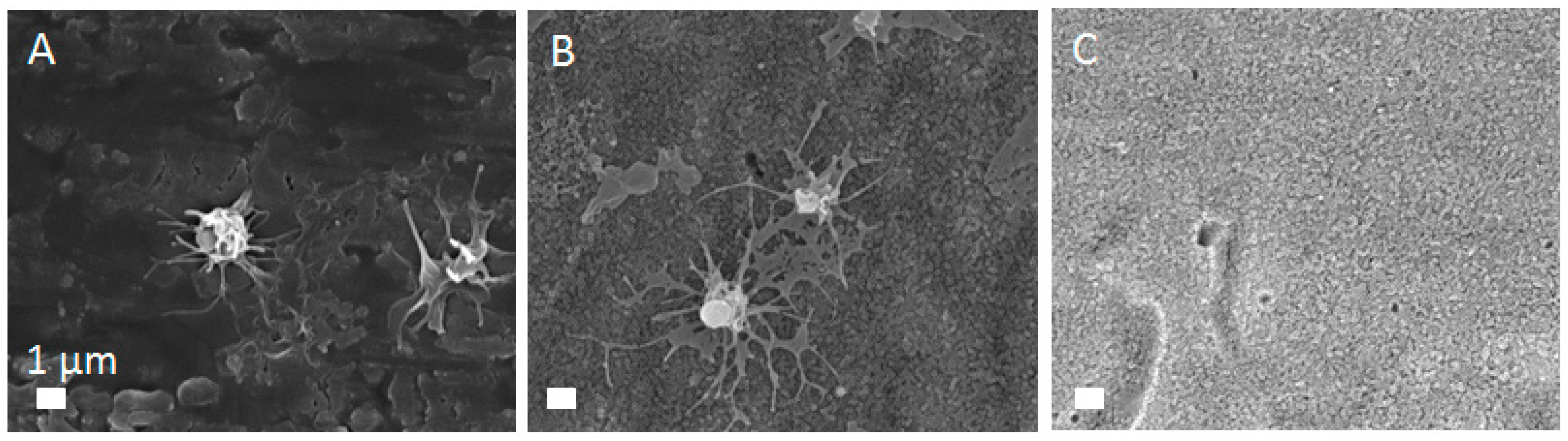 Materials 12 00626 g008