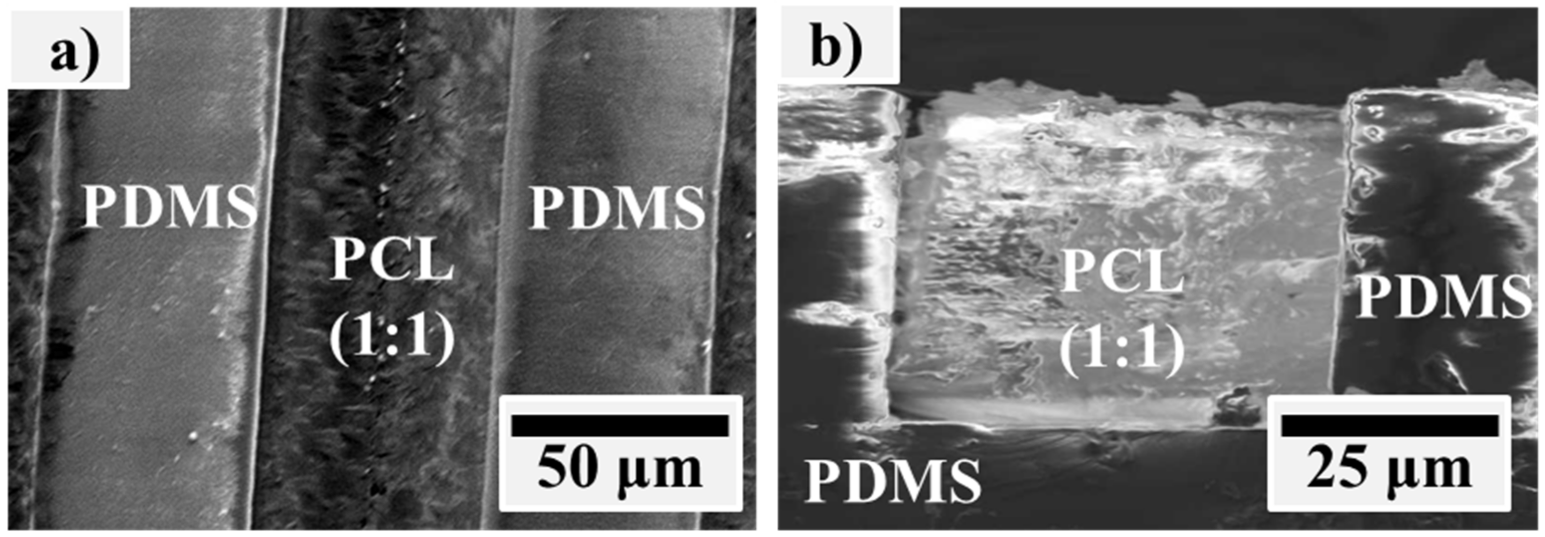 Materials 12 00644 g002