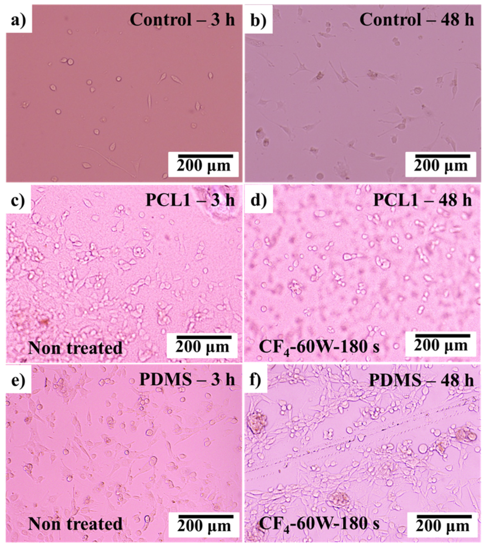 Materials 12 00644 g009