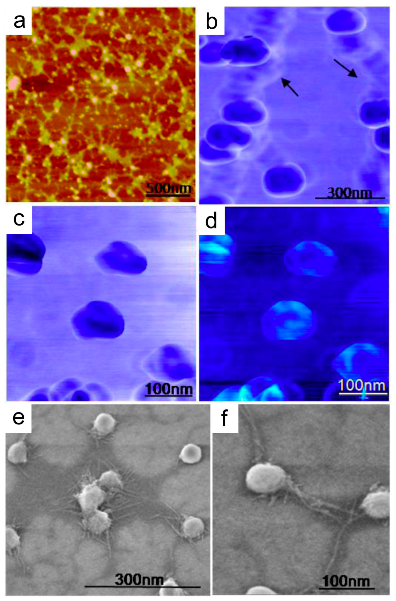 Materials 12 00654 g001