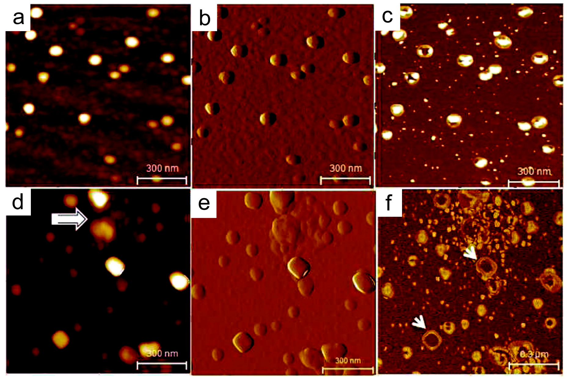 Materials 12 00654 g002