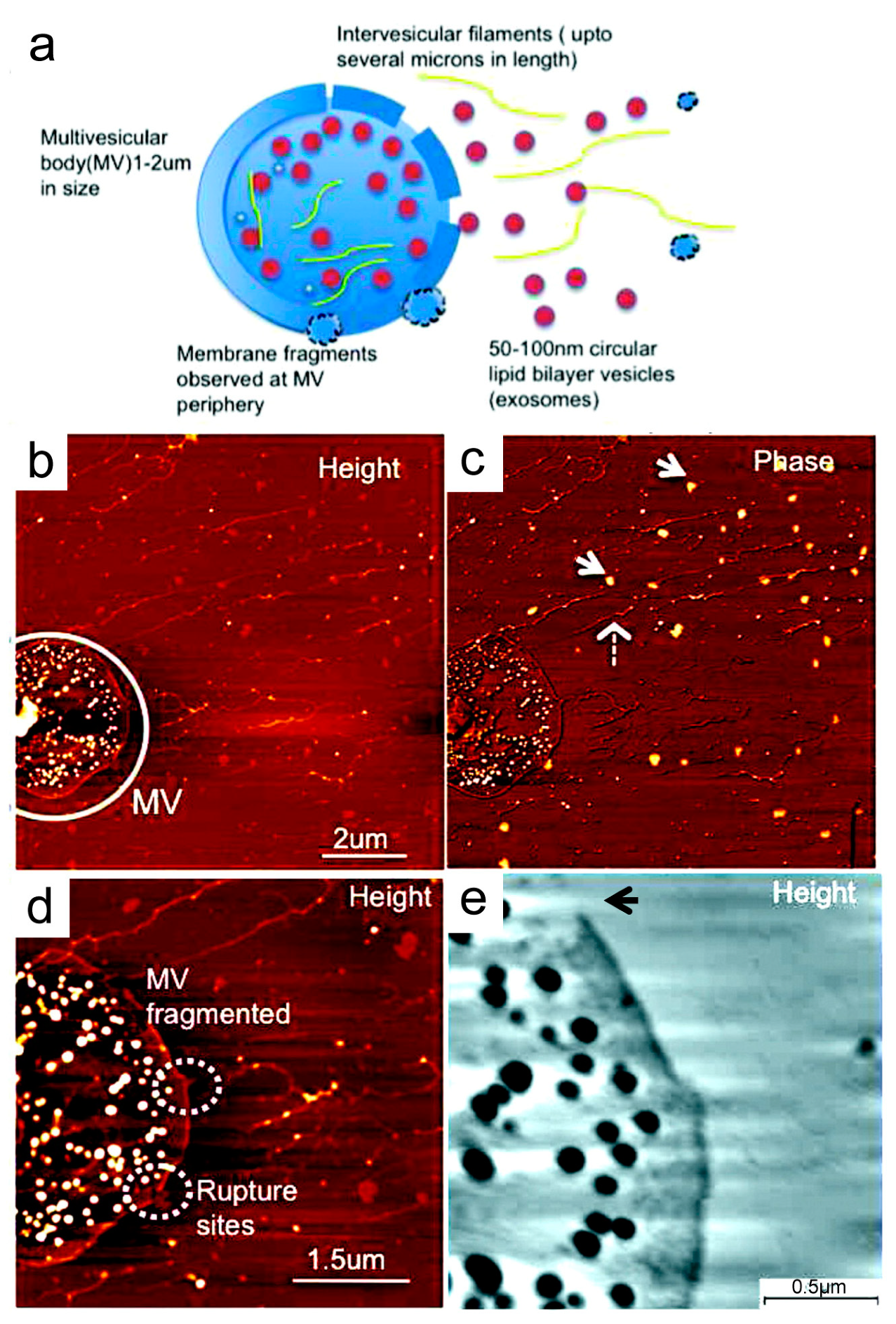 Materials 12 00654 g003