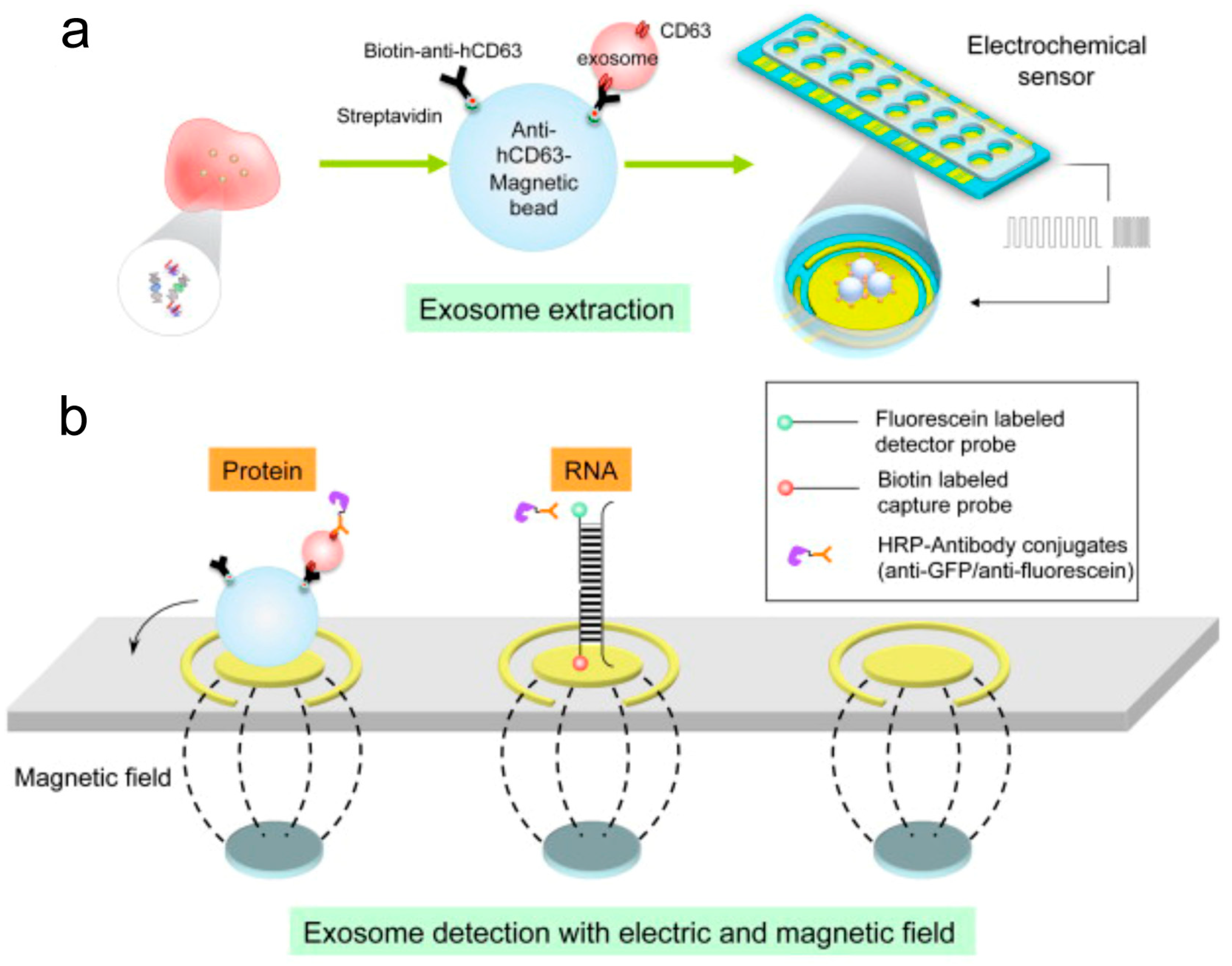 Materials 12 00654 g005