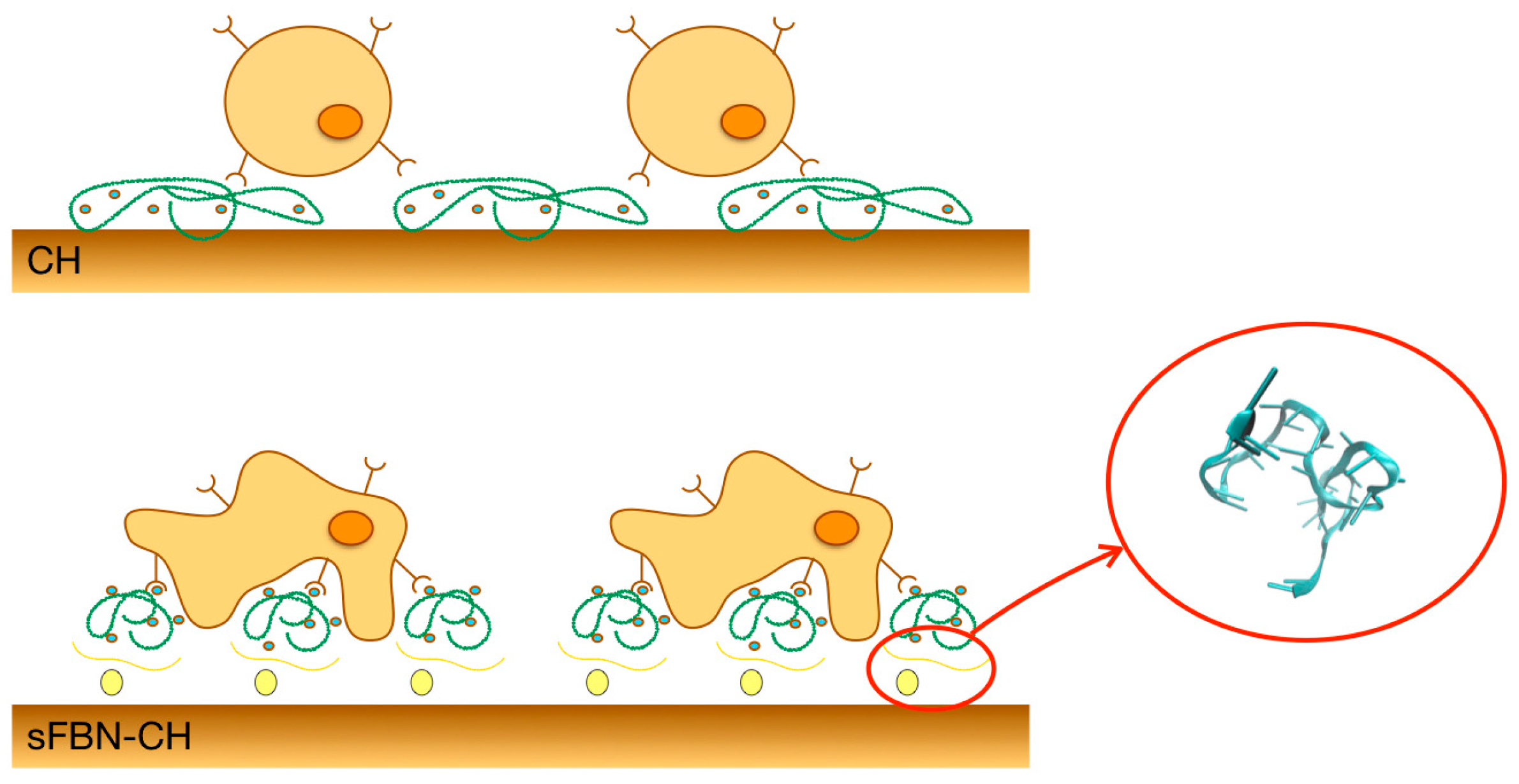 Materials 12 00812 g001