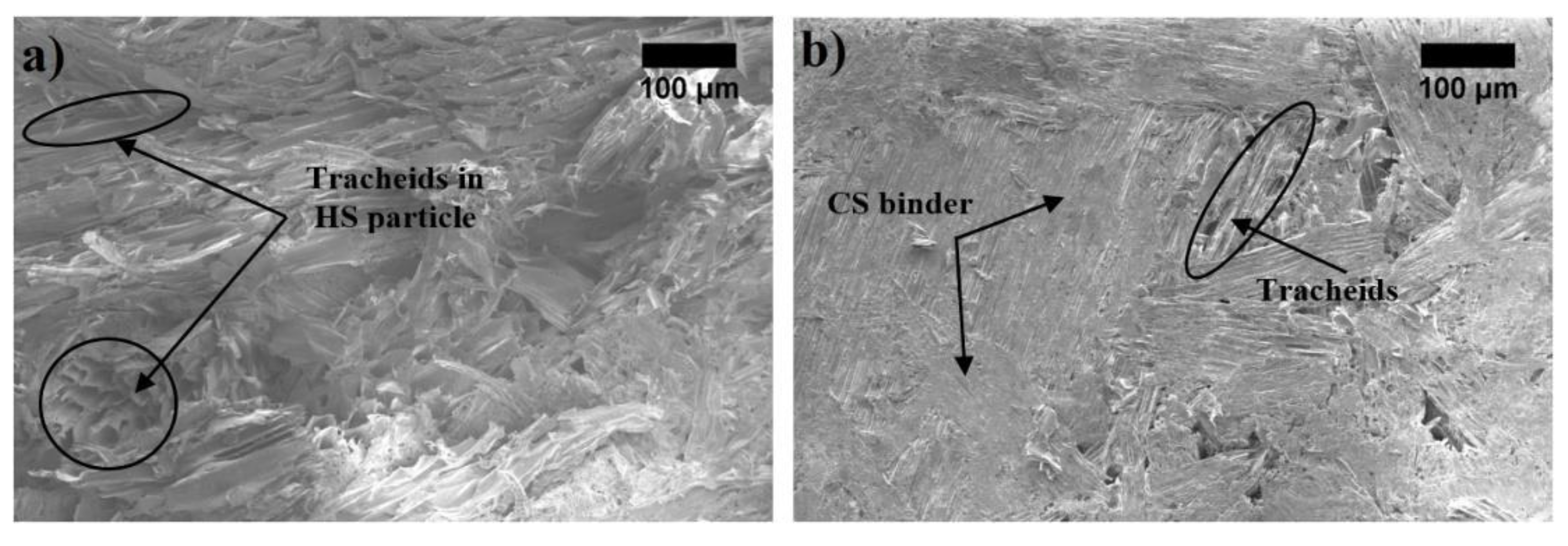 Materials 12 00845 g005