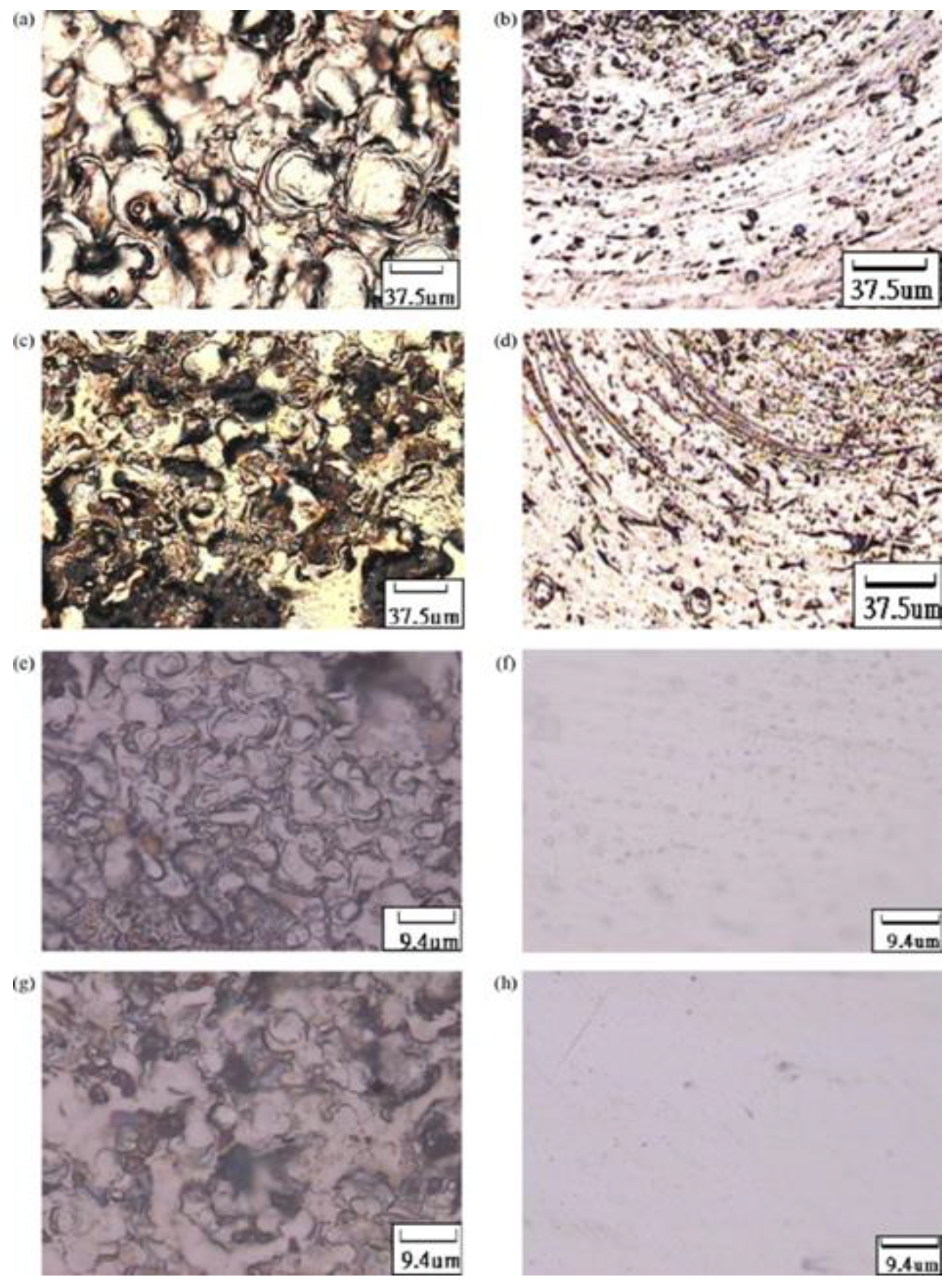 Materials 12 00907 g029