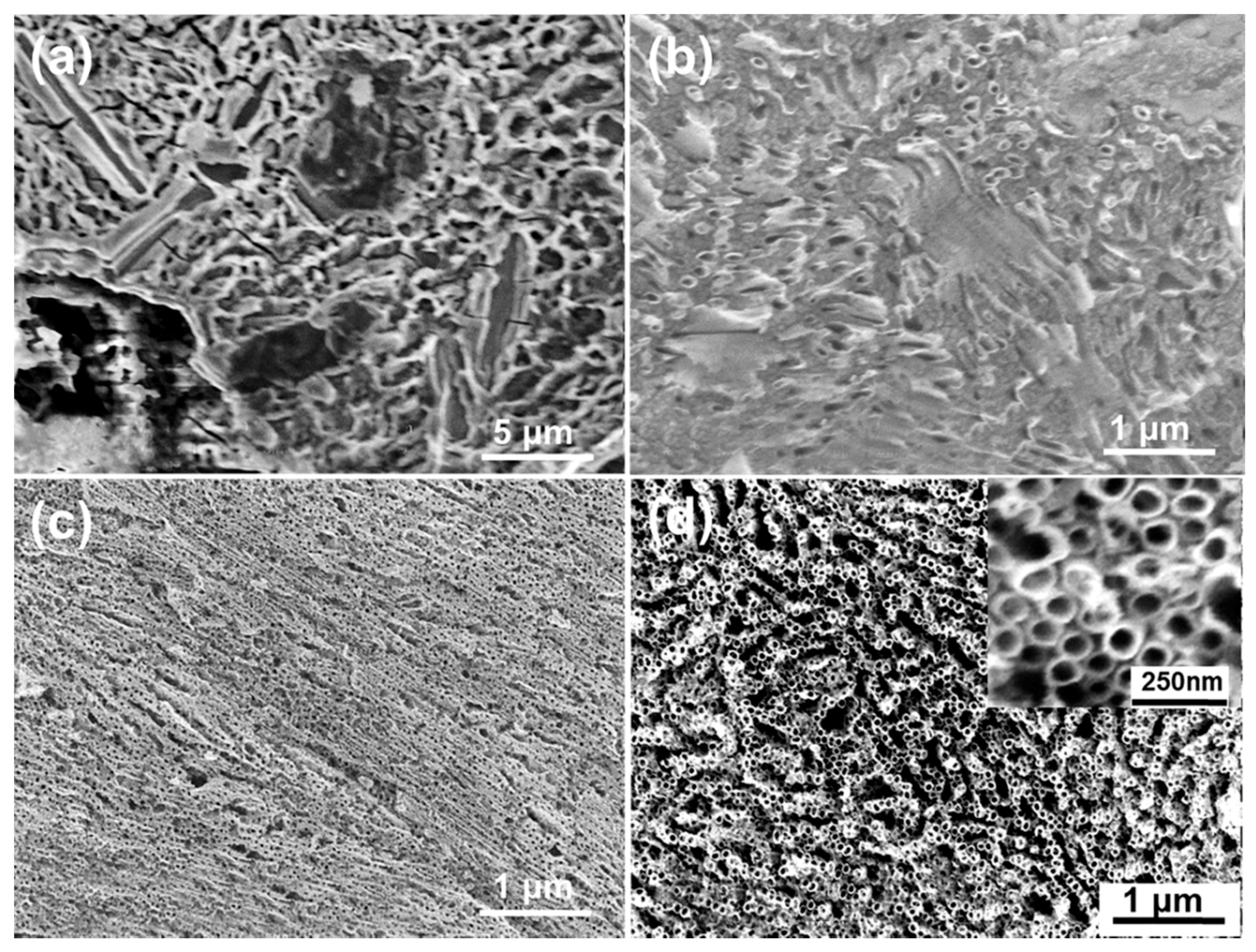 Materials 12 01315 g003