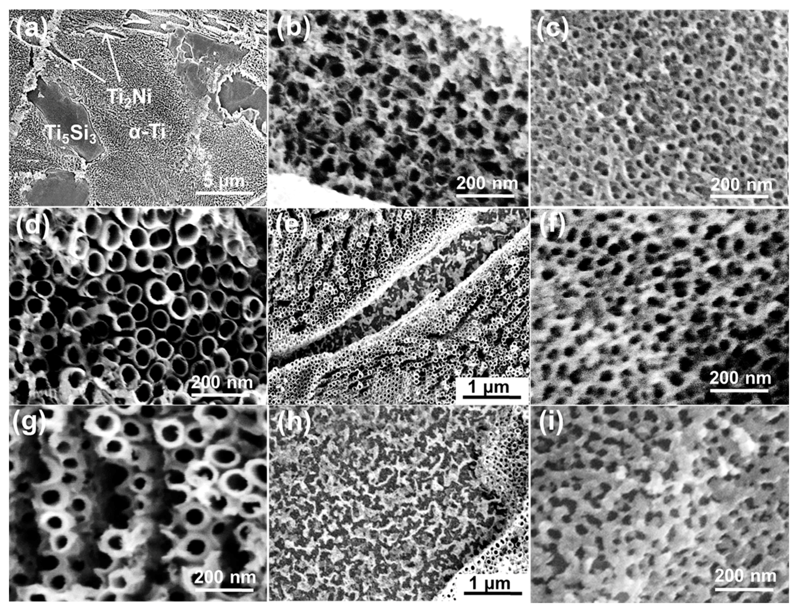 Materials 12 01315 g004