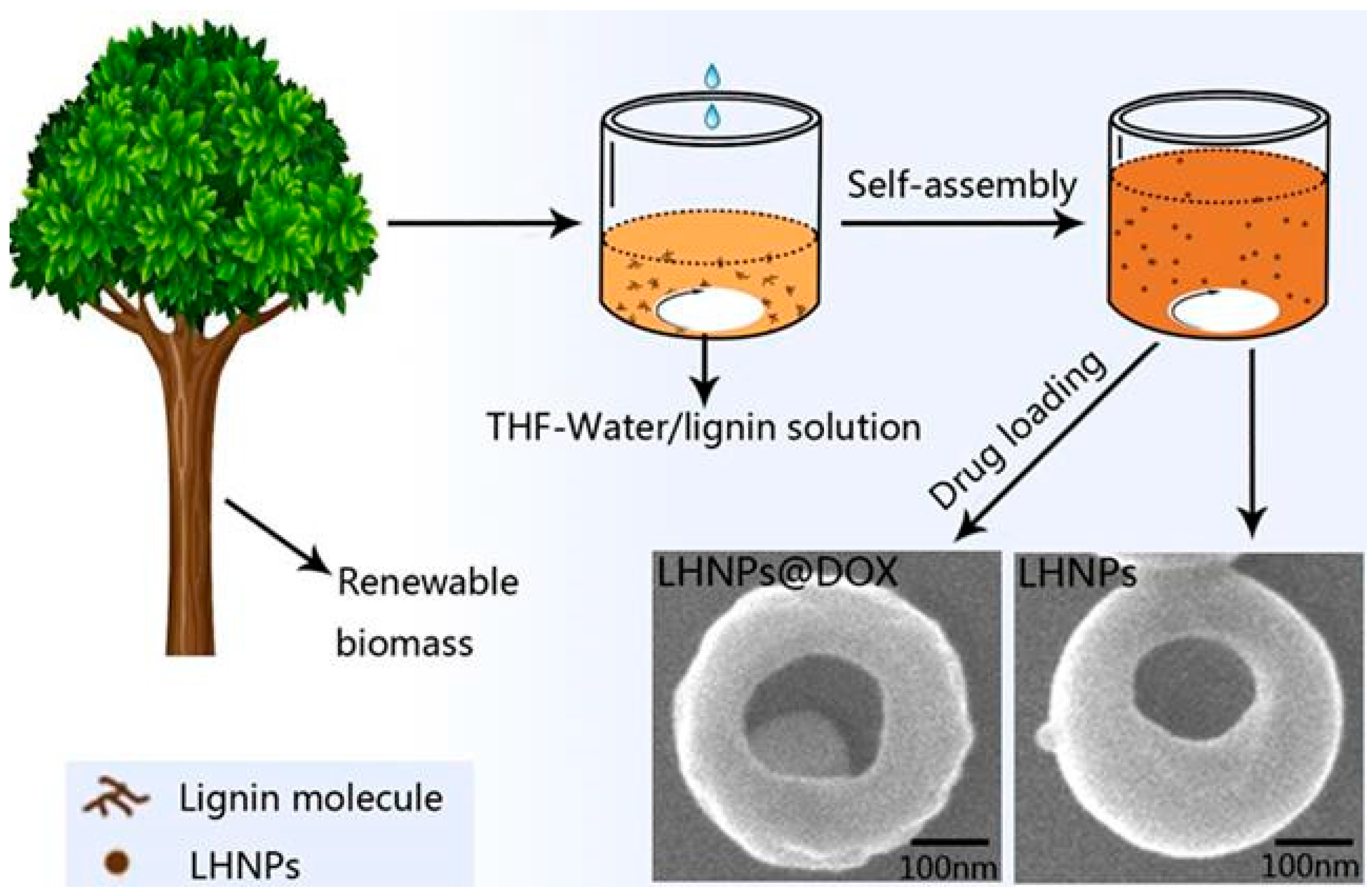 Materials 12 01694 g001