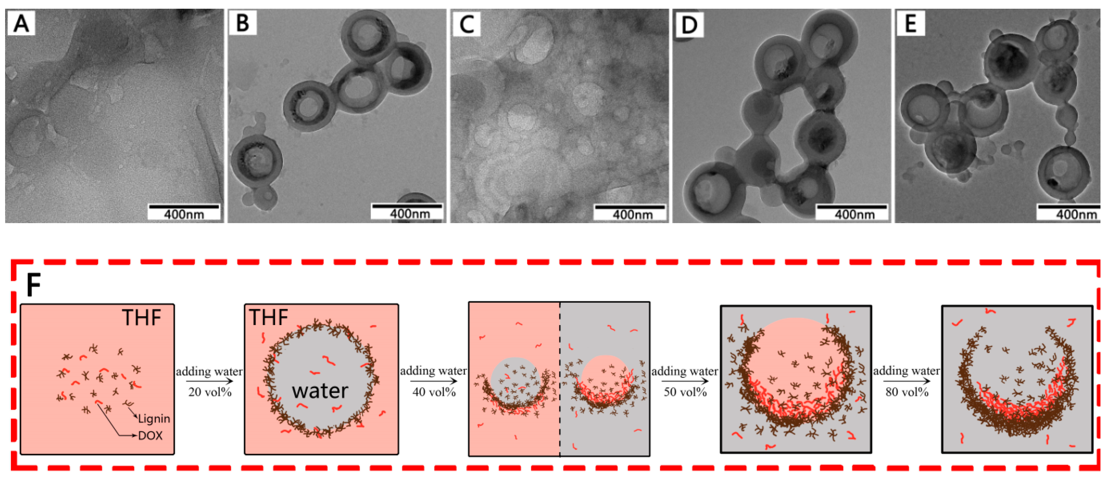 Materials 12 01694 g006