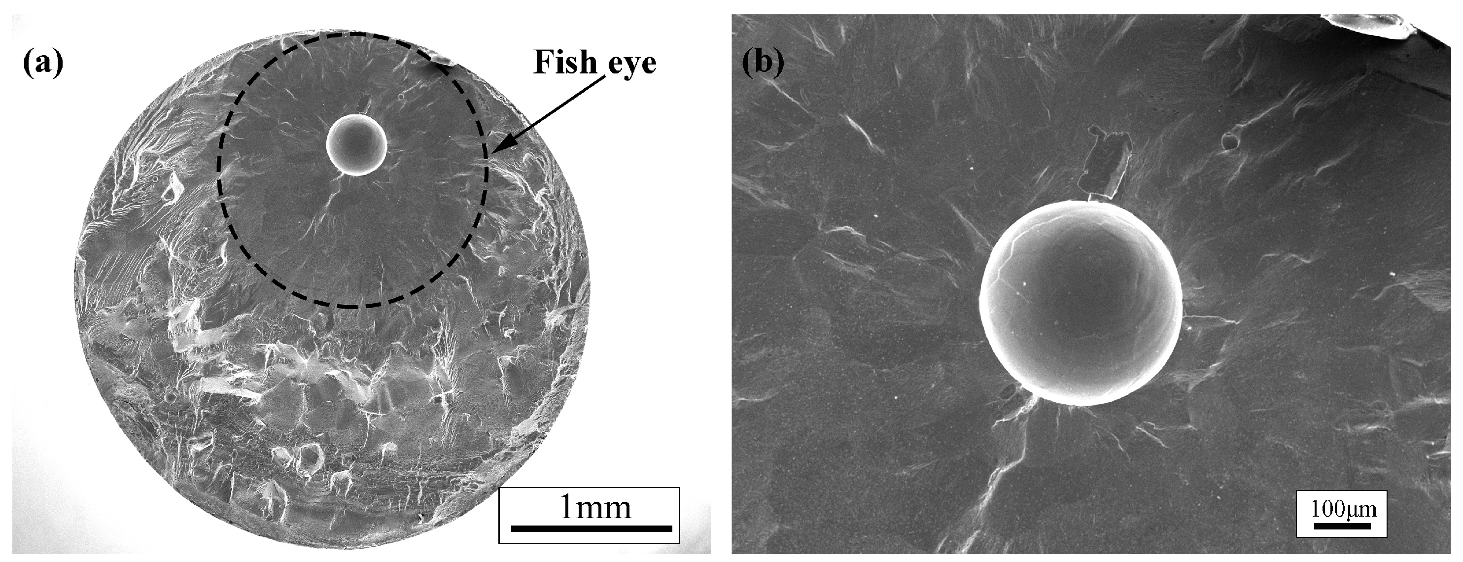 Materials 12 01825 g009