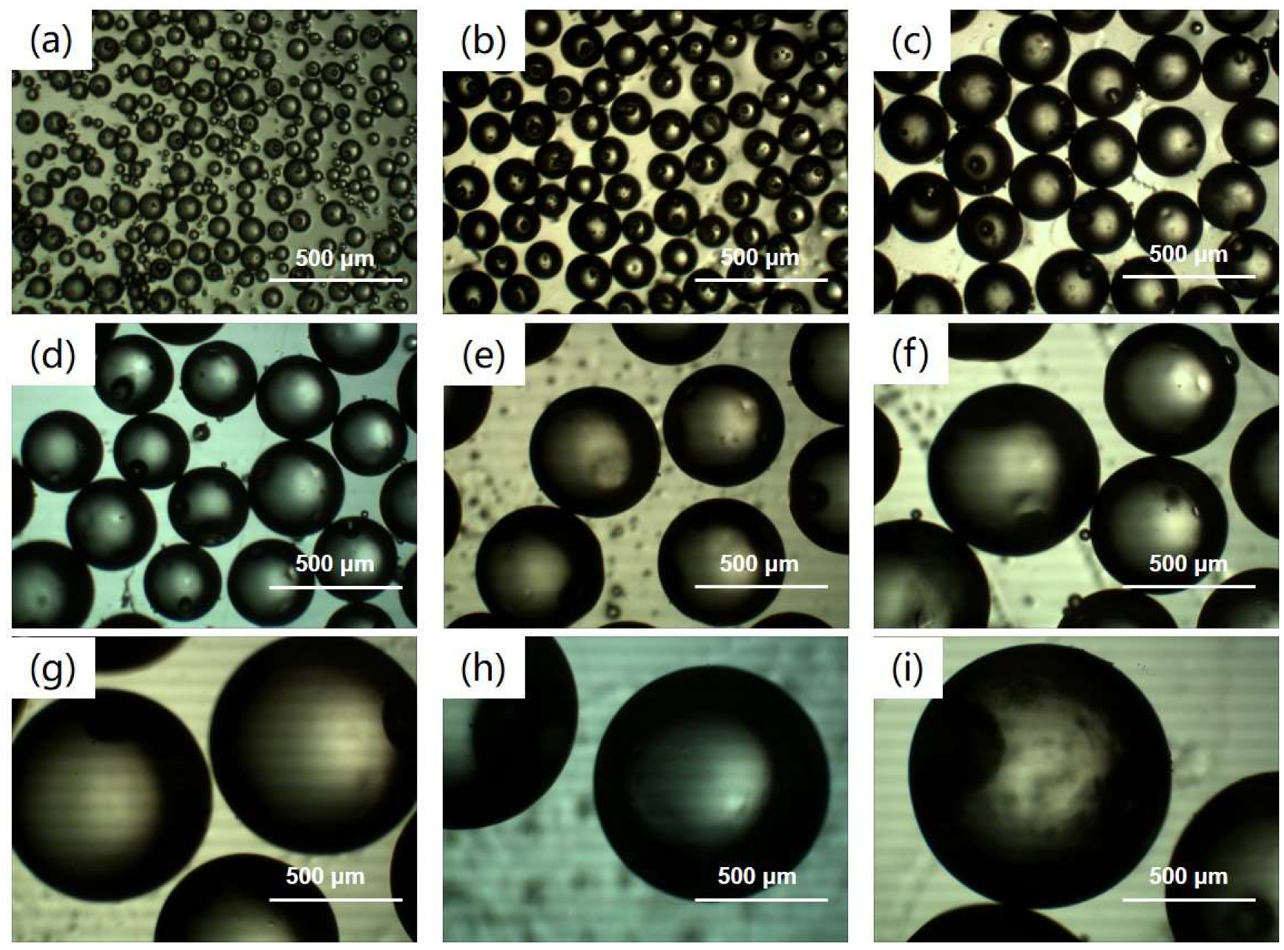 Materials 12 01959 g002