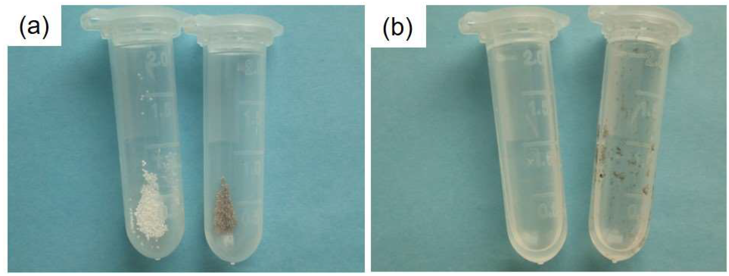 Materials 12 01959 g005