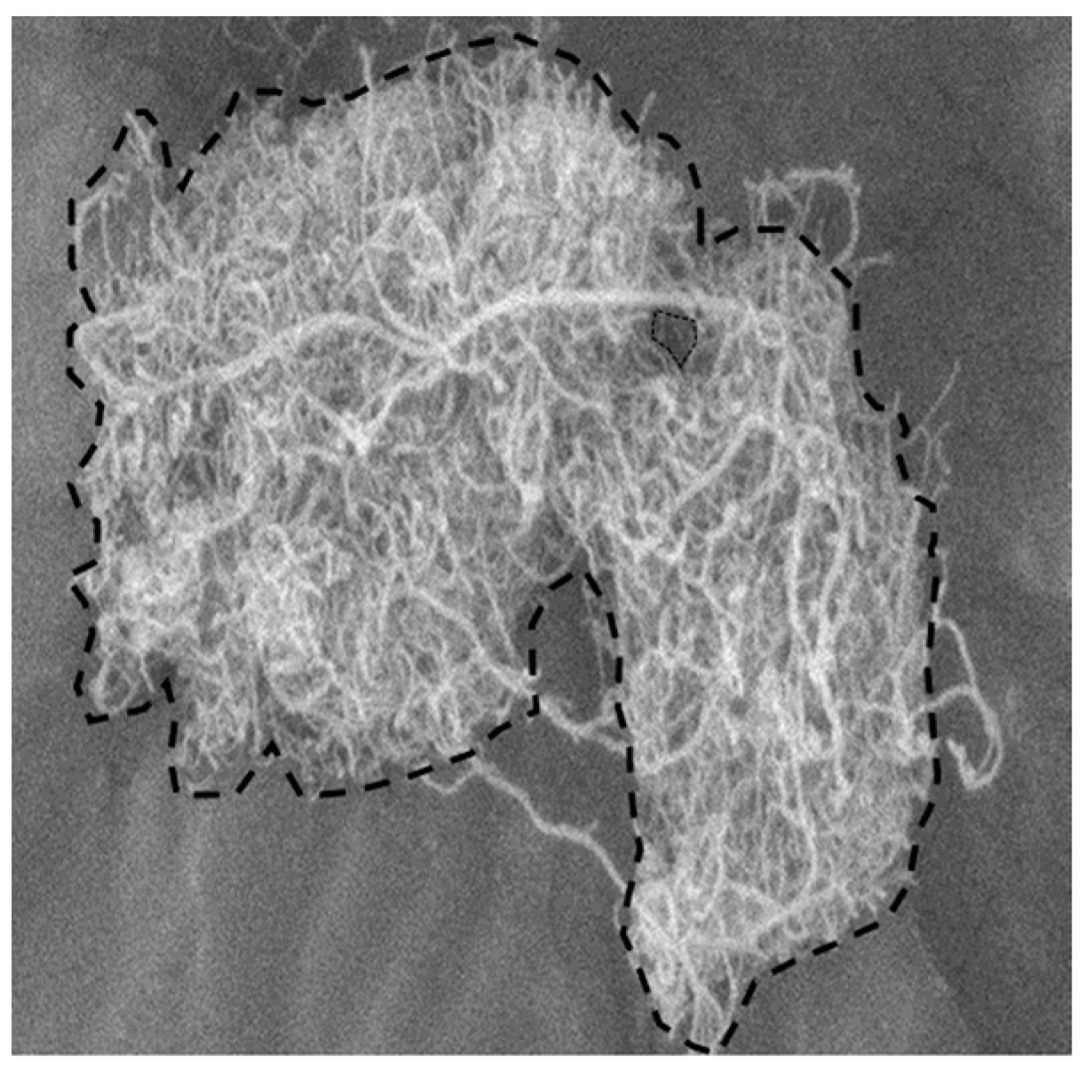 Materials 12 02035 g004