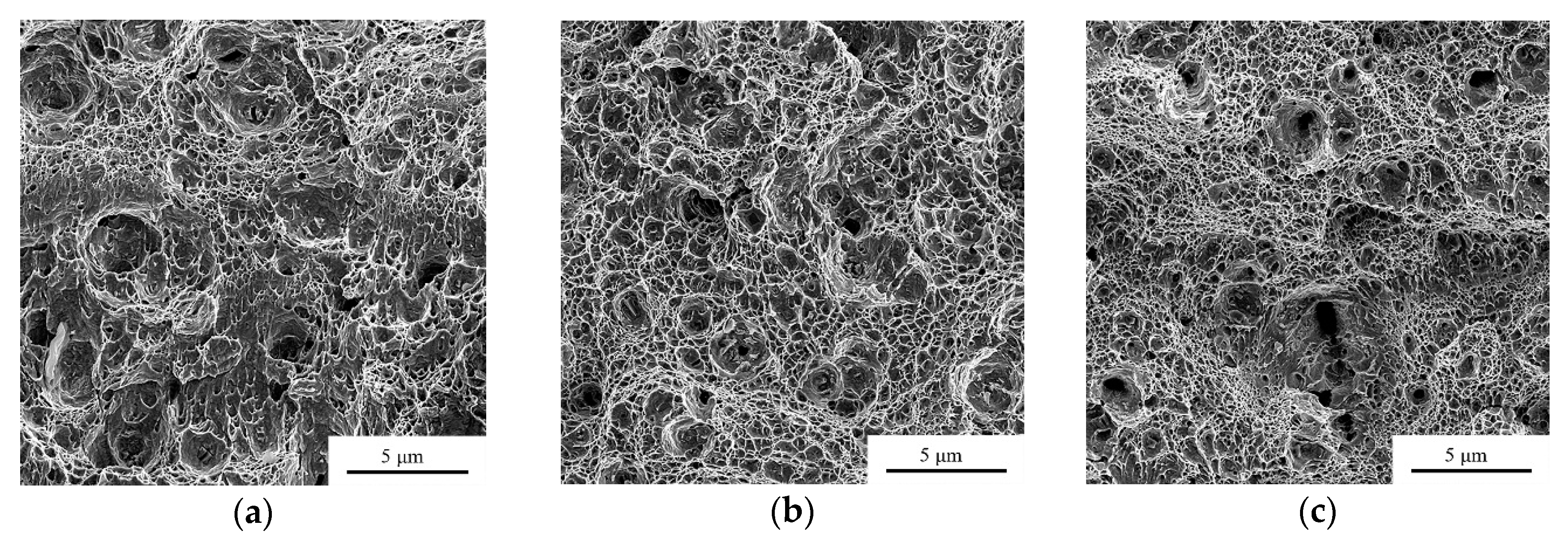 Materials 12 02058 g008a