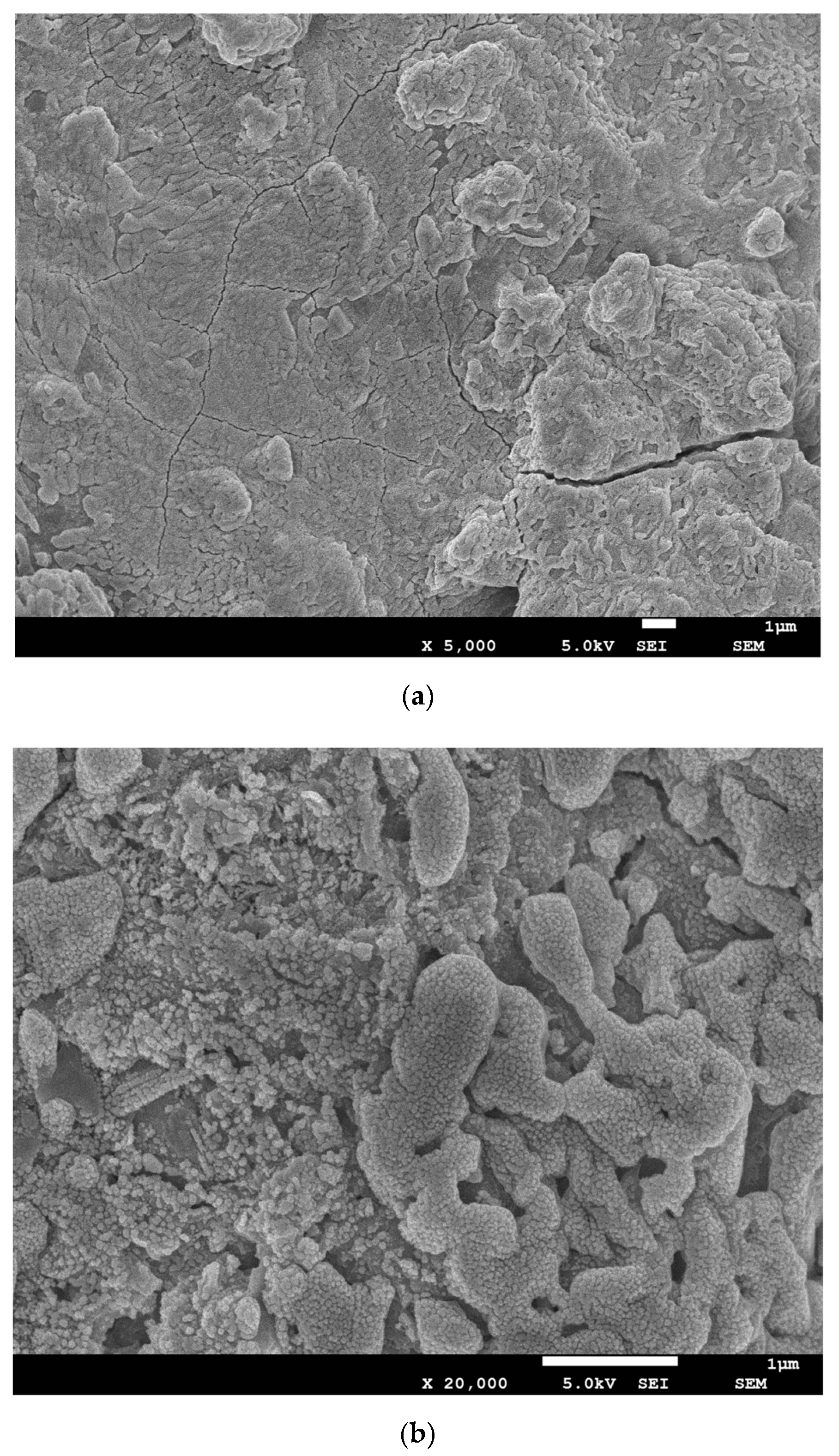 Materials 12 02089 g006a