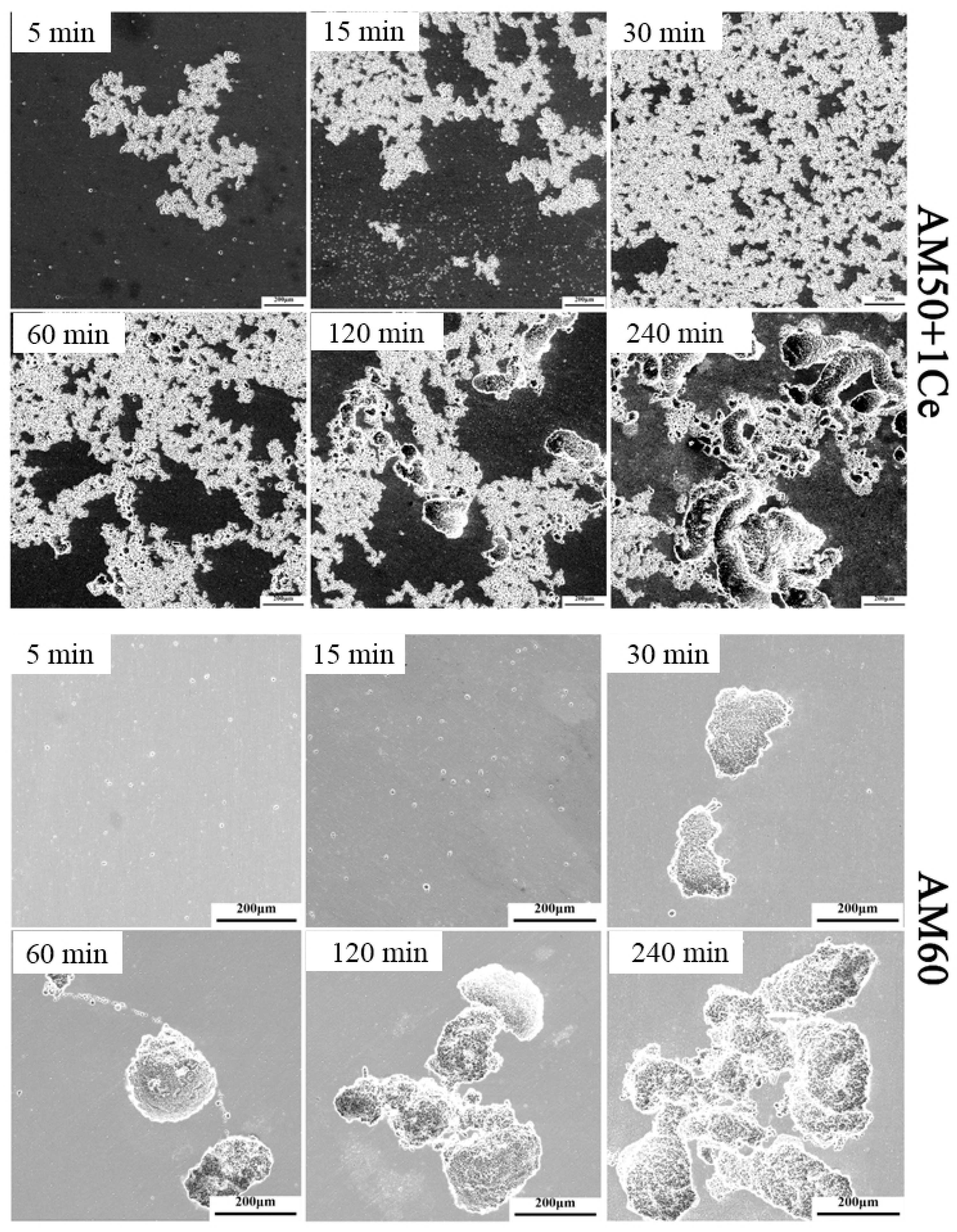 Materials 12 02624 g015